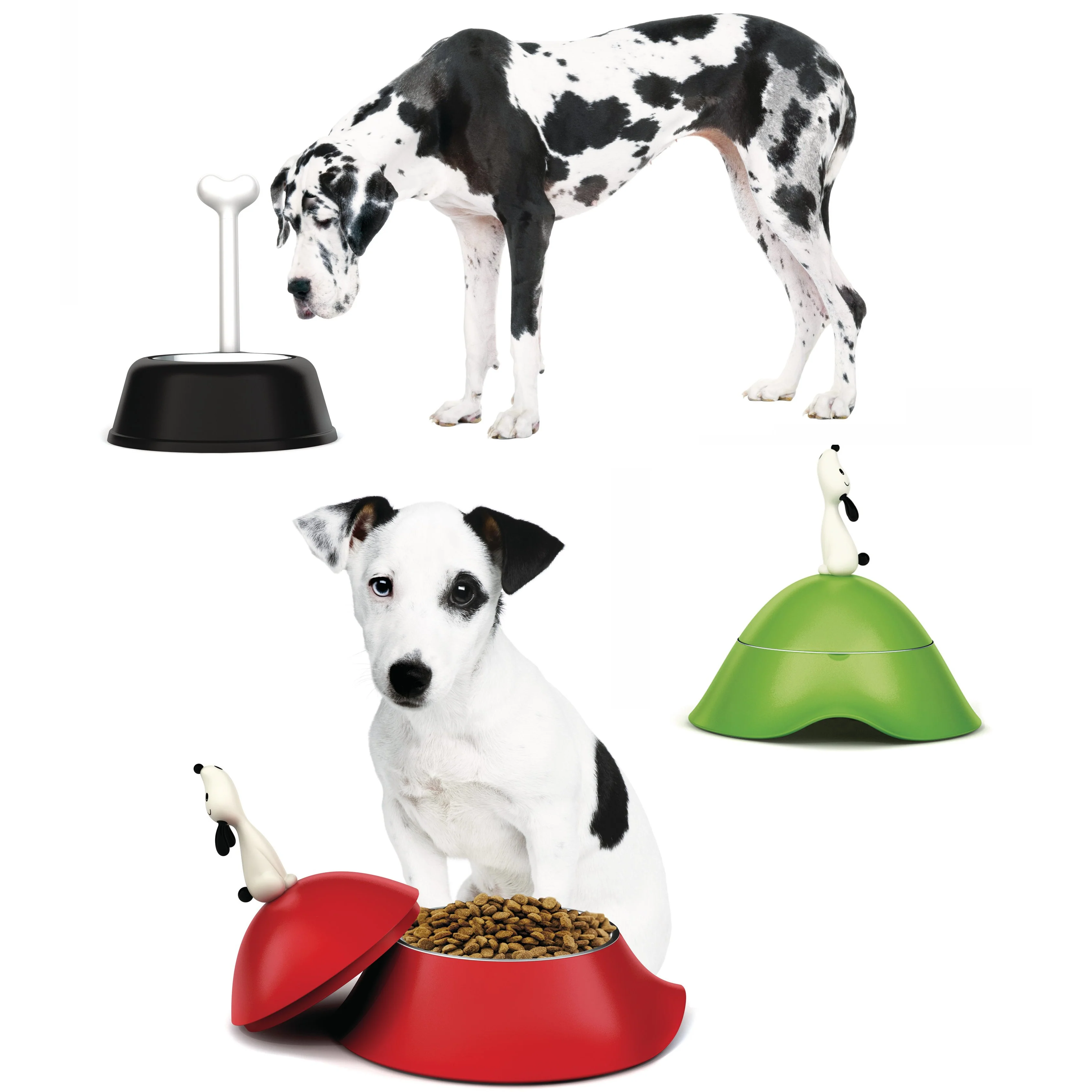 Lulà Dog Bowl | Red Orange - Image 2