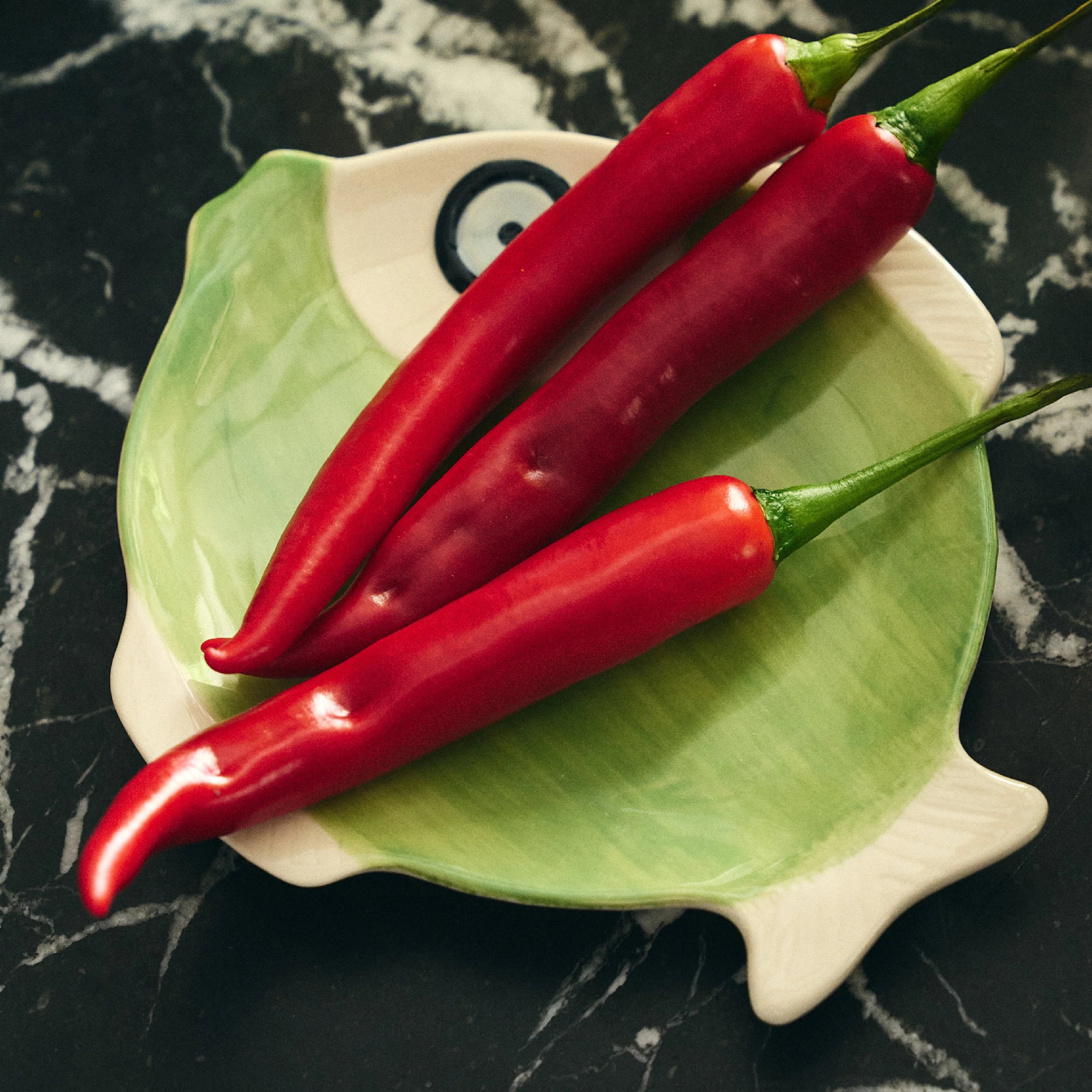 Tidal Fish Plate | 17cm - Image 2