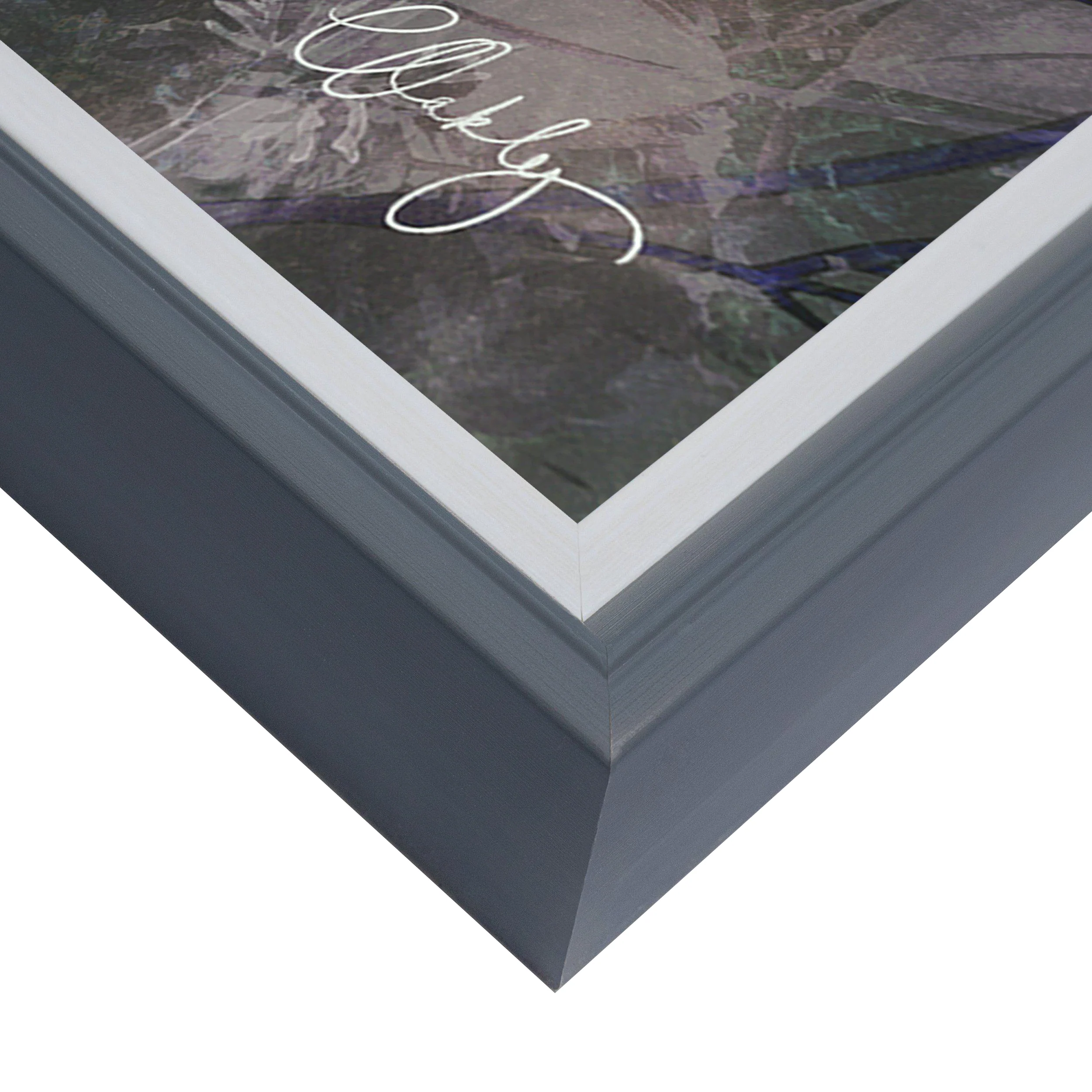 'Dougie' Wall Art | Charlotte Oakley - Image 2