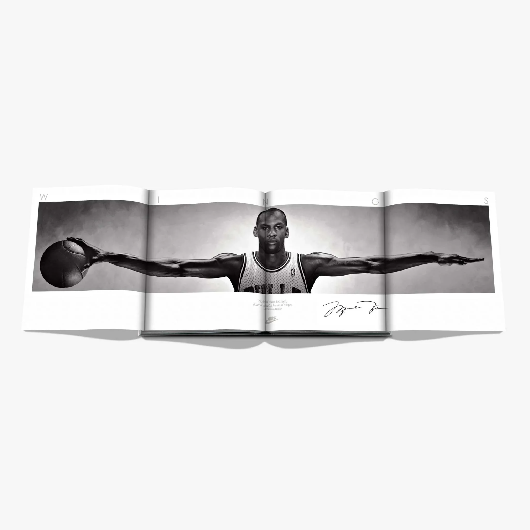 'Air Jordan: Classic' Book | Adam Bradley - Image 2