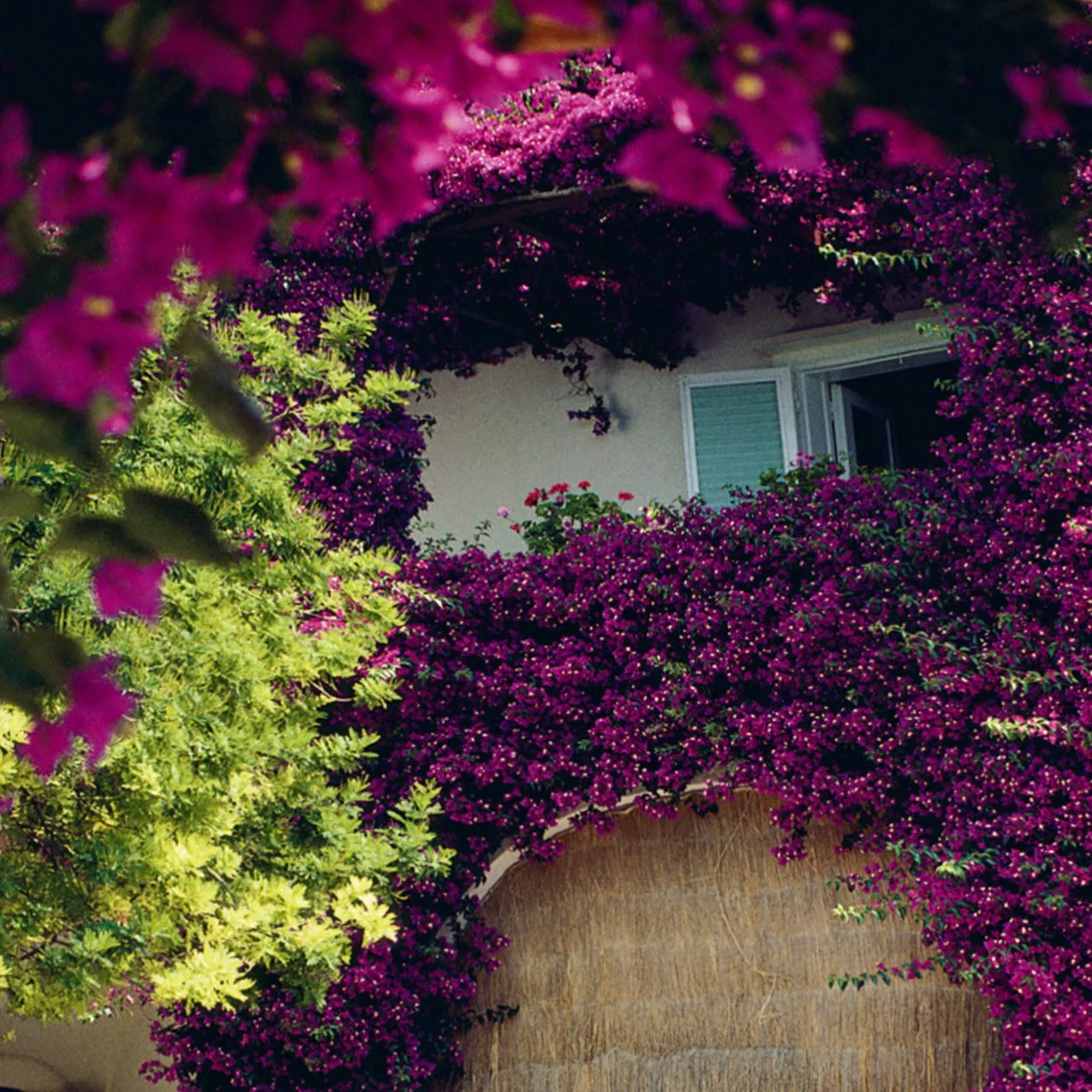 'Capri Dolce Vita' Book | Cesare Cunaccia - Image 3