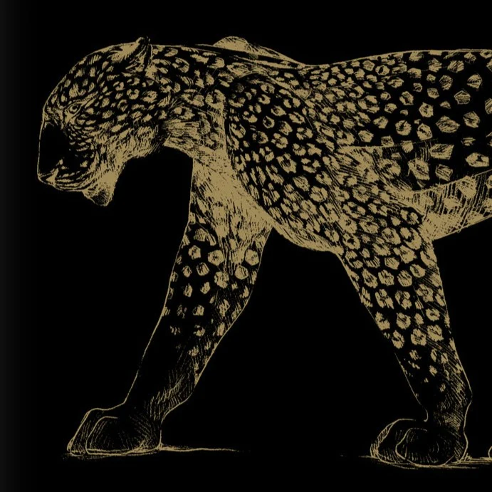 'Cartier Panthere' Book | Bérénice Geoffroy-Schneiter - Image 5