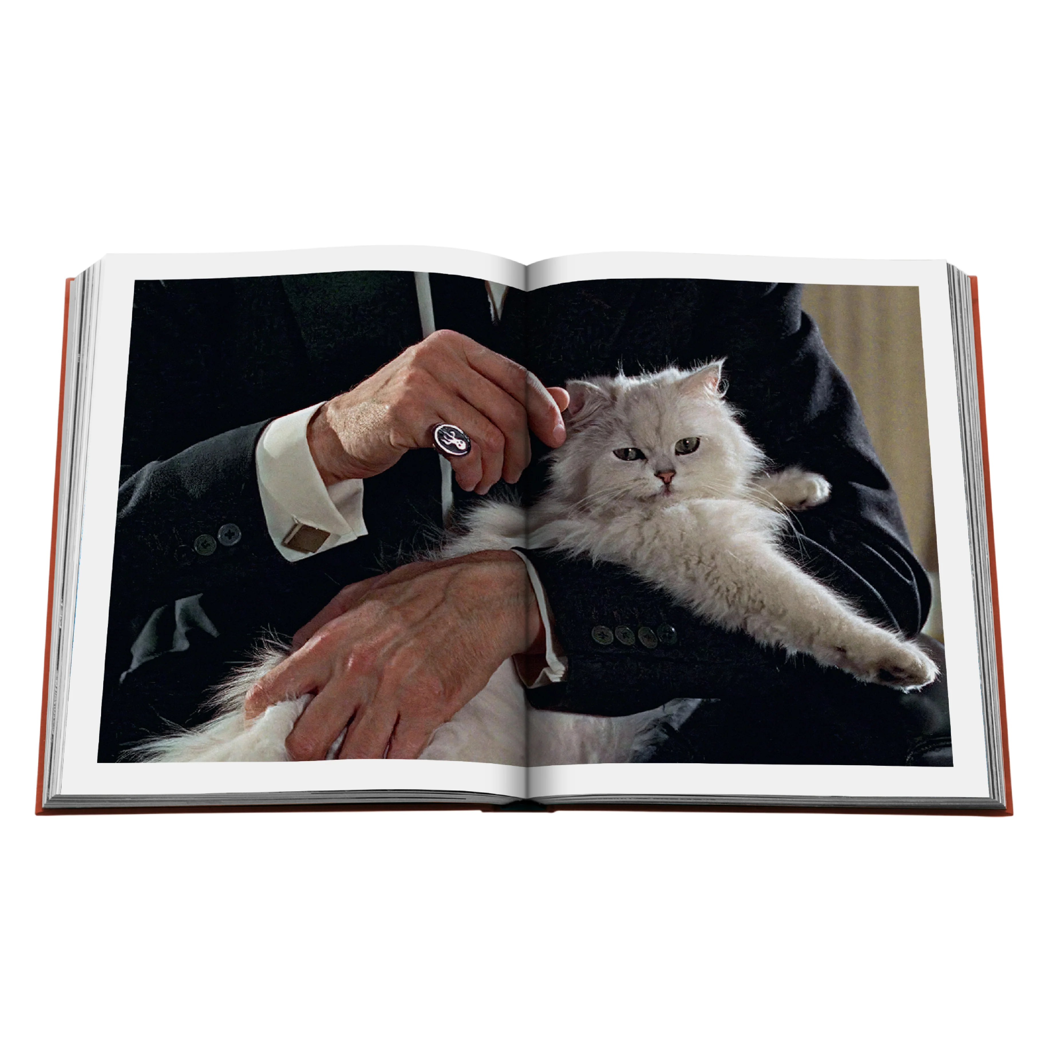 'Chic Cats' Book | Brett Martin - Image 4