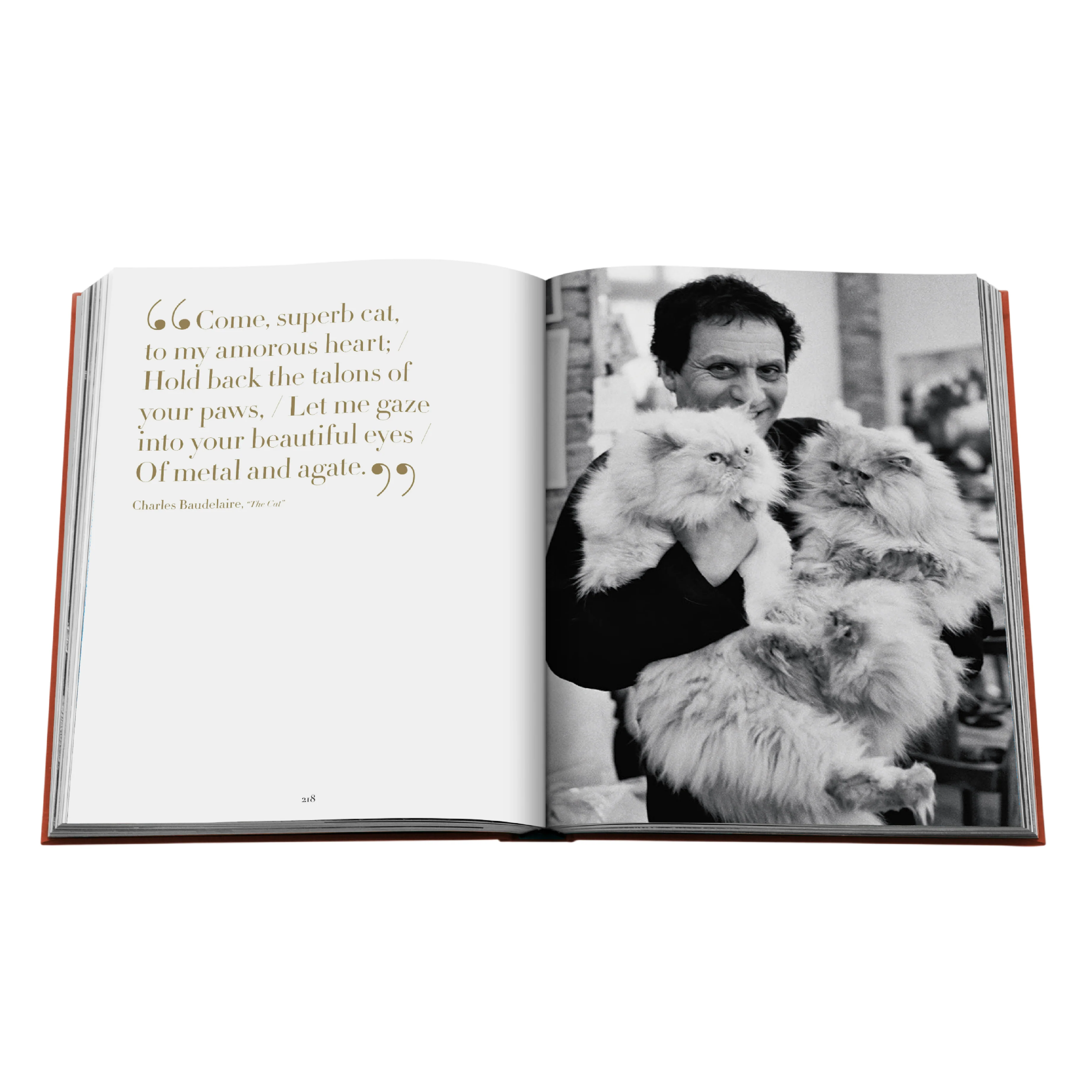 'Chic Cats' Book | Brett Martin - Image 5