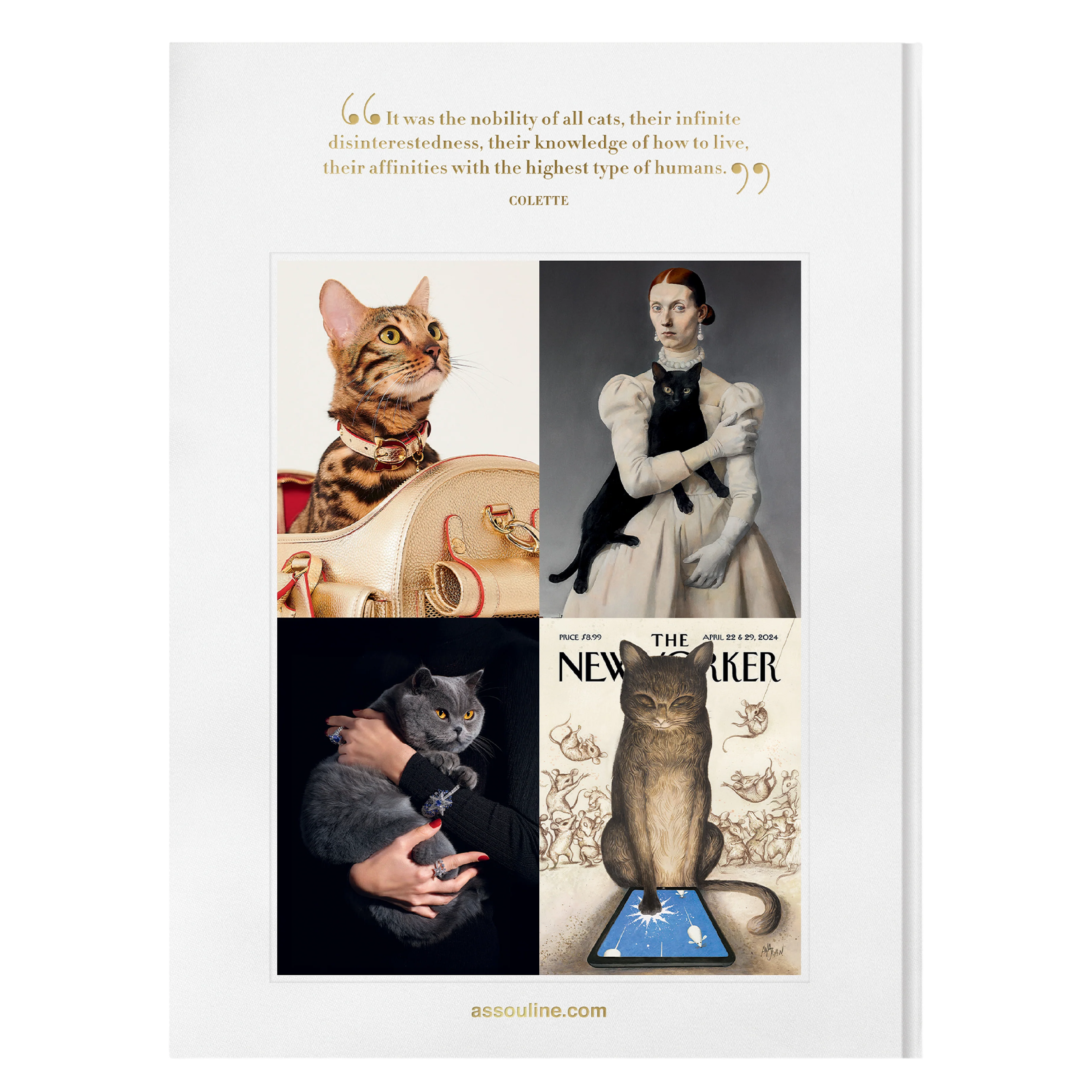 'Chic Cats' Book | Brett Martin - Image 6