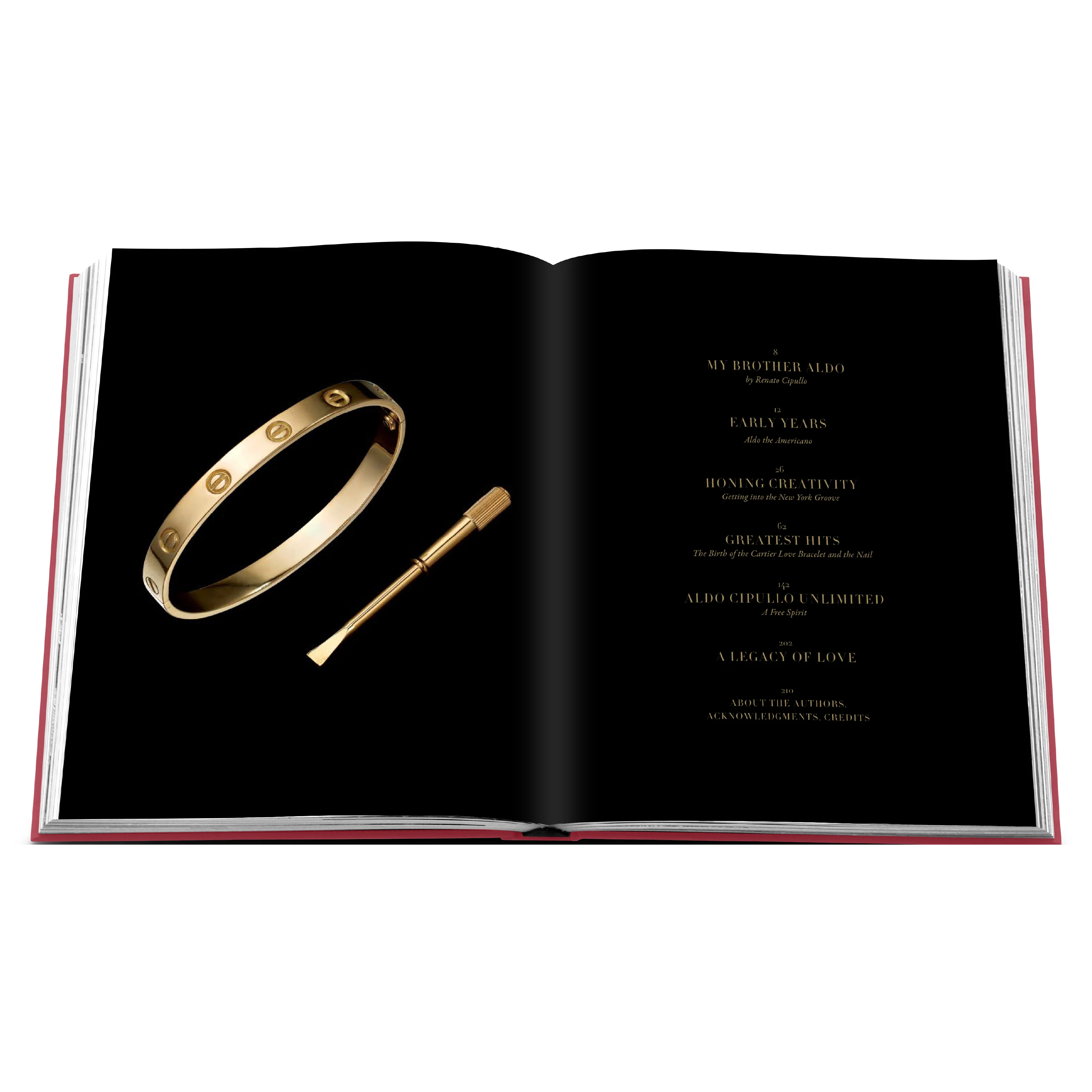 'Cipullo: Making Jewelry Modern' Book | Vivienne Becker - Image 3