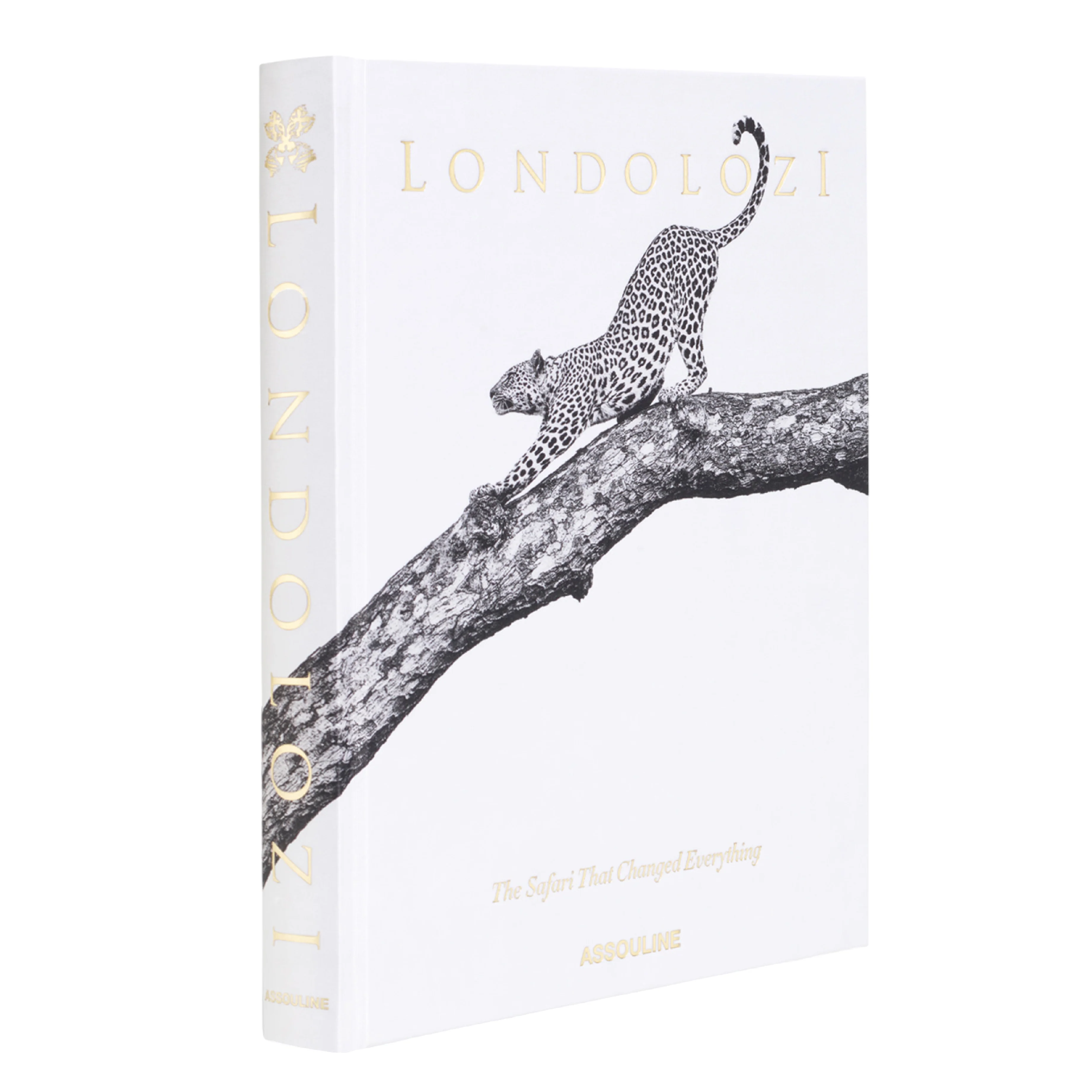 'Londolozi: The Safari that Changed Everything' Book | Hailey Wist