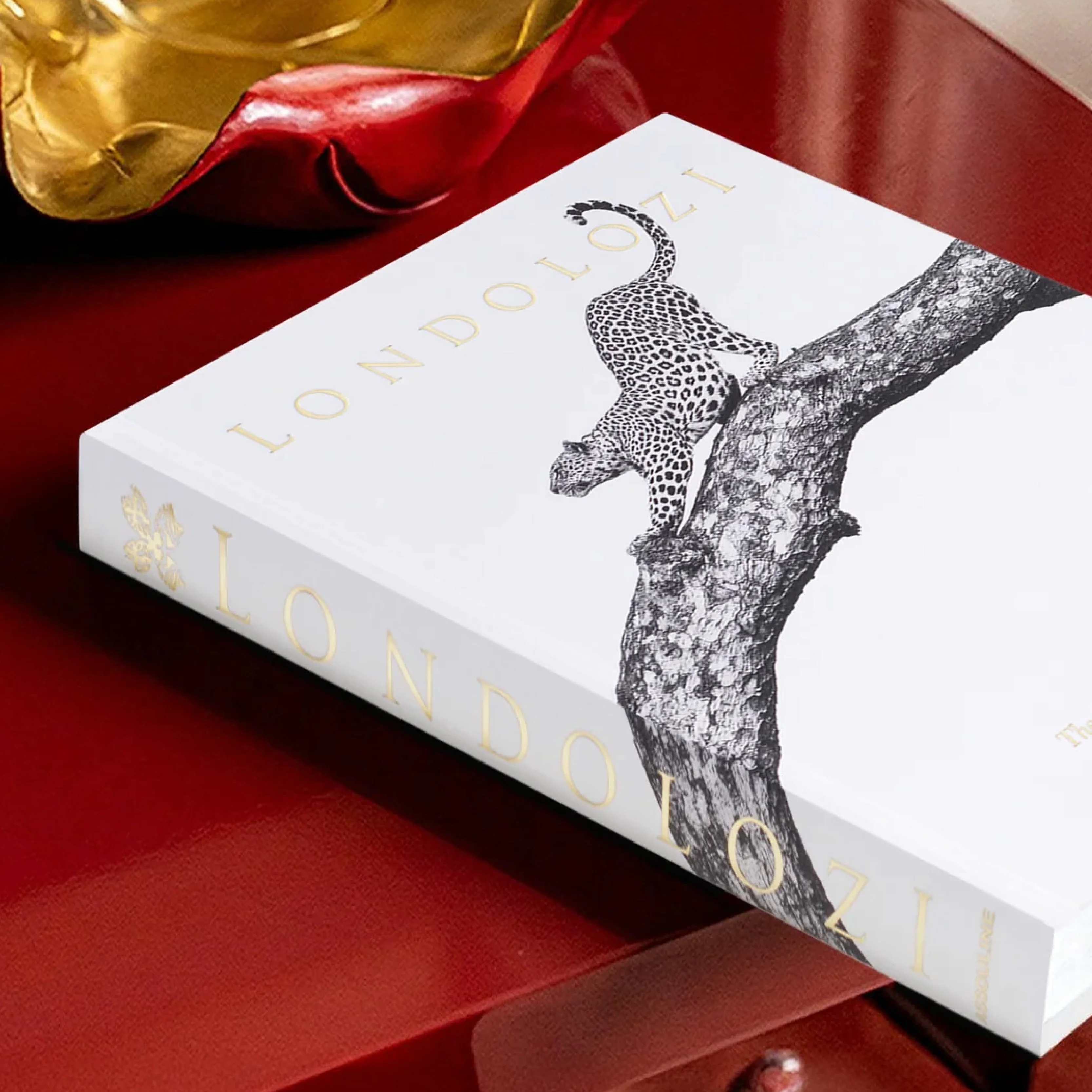 'Londolozi: The Safari that Changed Everything' Book | Hailey Wist - Image 2