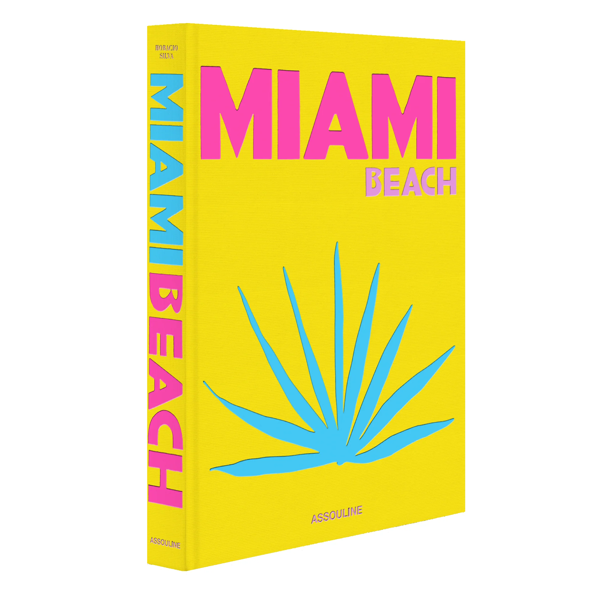 'Miami Beach' Book | Horacio Silva - Image 4