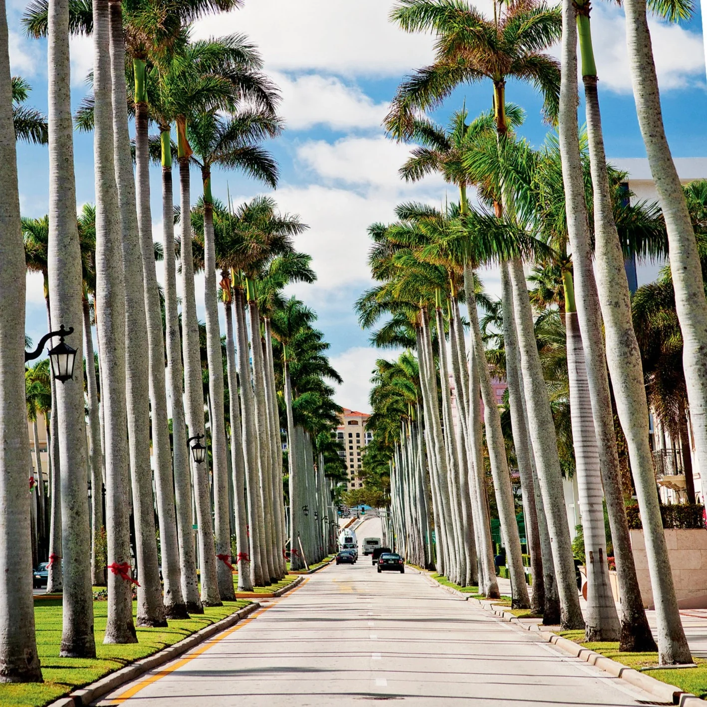 'Miami Beach' Book | Horacio Silva - Image 5