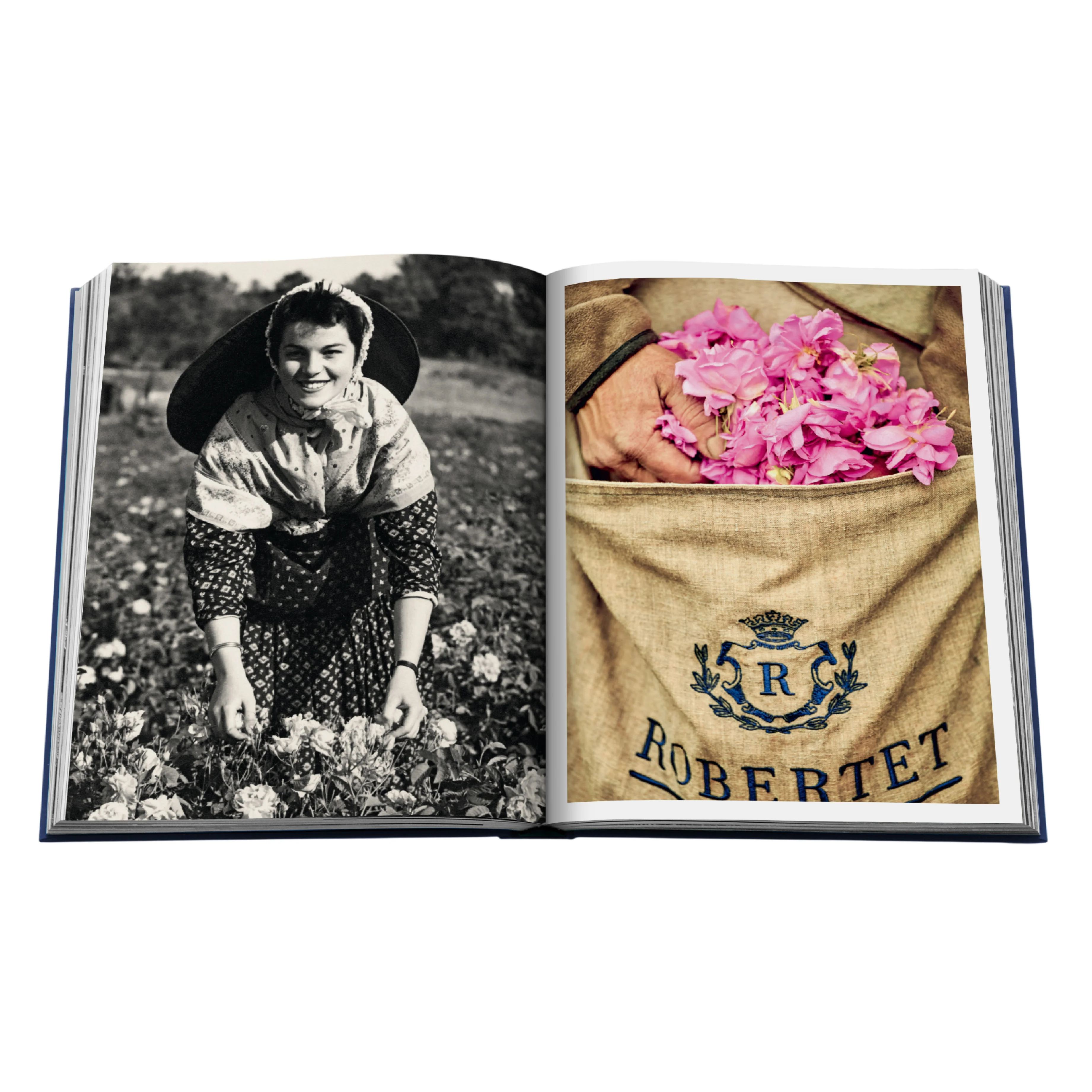 'Robertet: From Seed to Scent' Book | Élisabeth de Feydeau - Image 3
