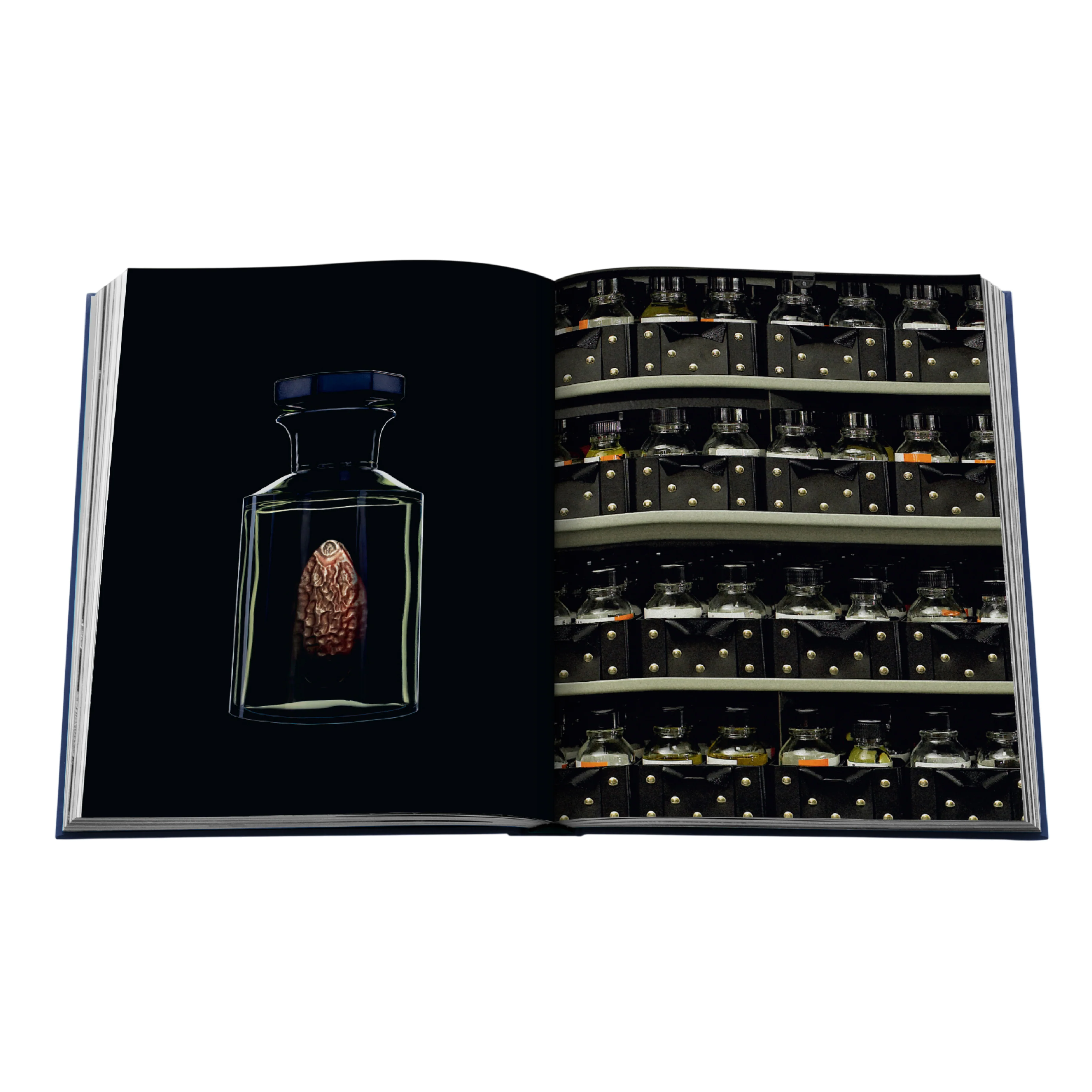 'Robertet: From Seed to Scent' Book | Élisabeth de Feydeau - Image 6