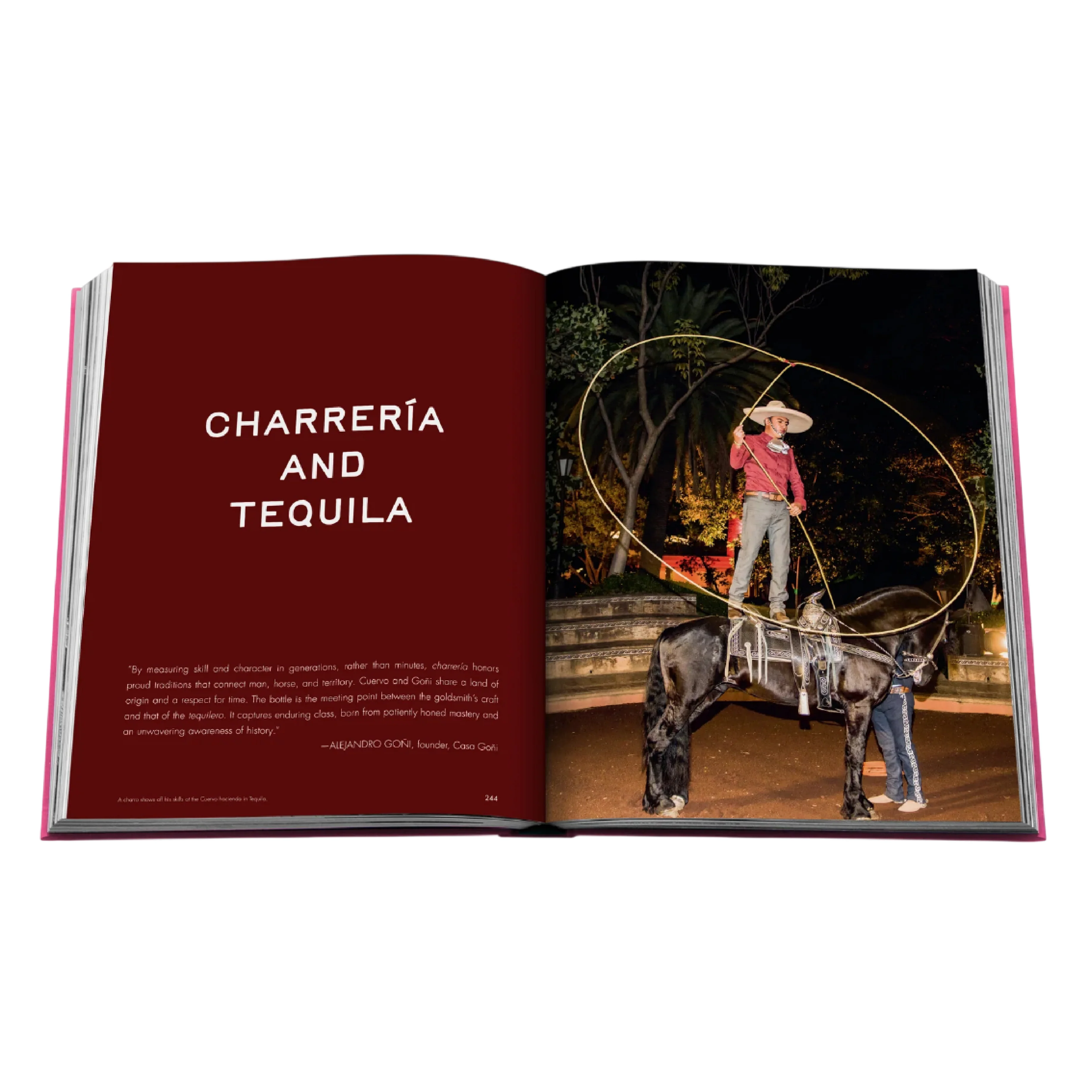 'The Art of Tequila: Spirit of Mexico' Book | Suleman Anaya - Image 5