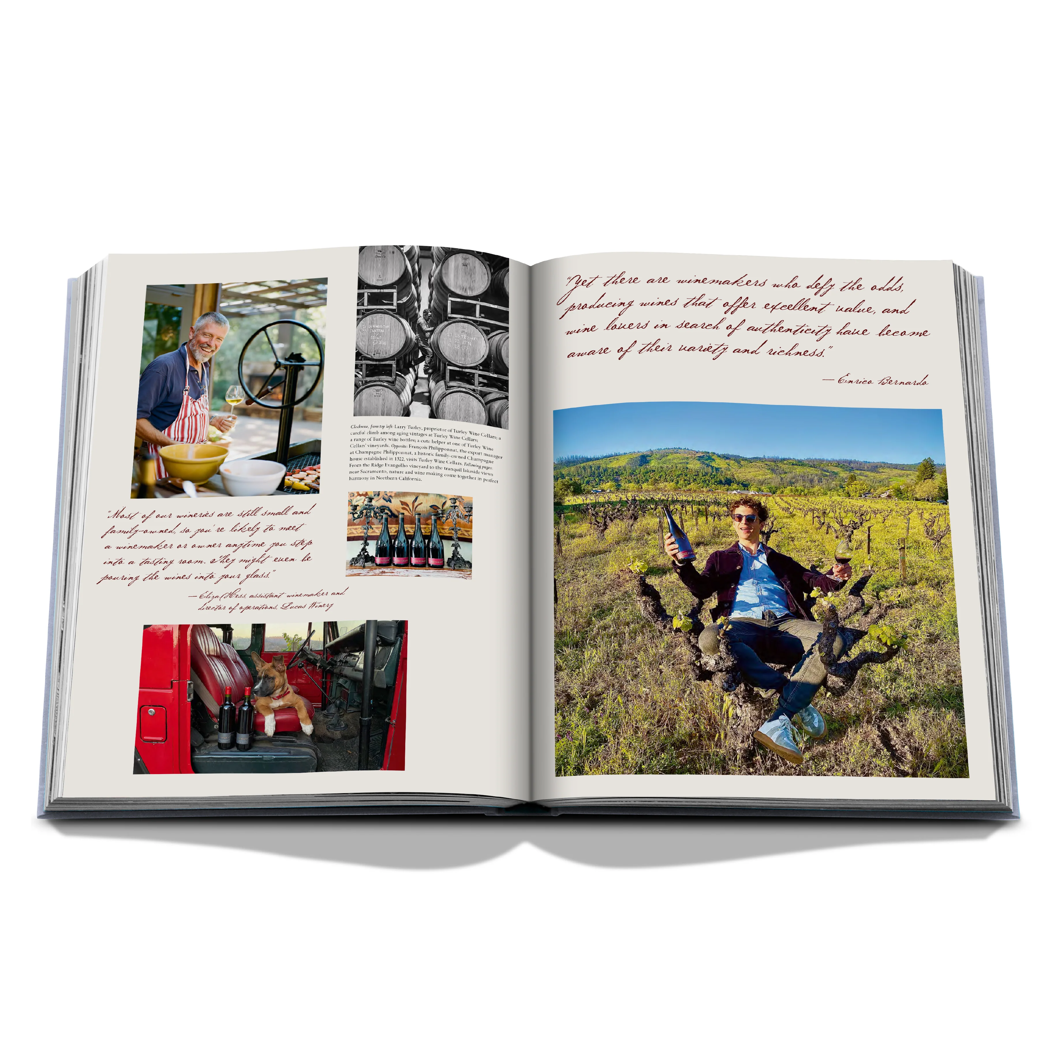 'Wine and Travel: USA' Book | Enrico Bernardo - Image 2