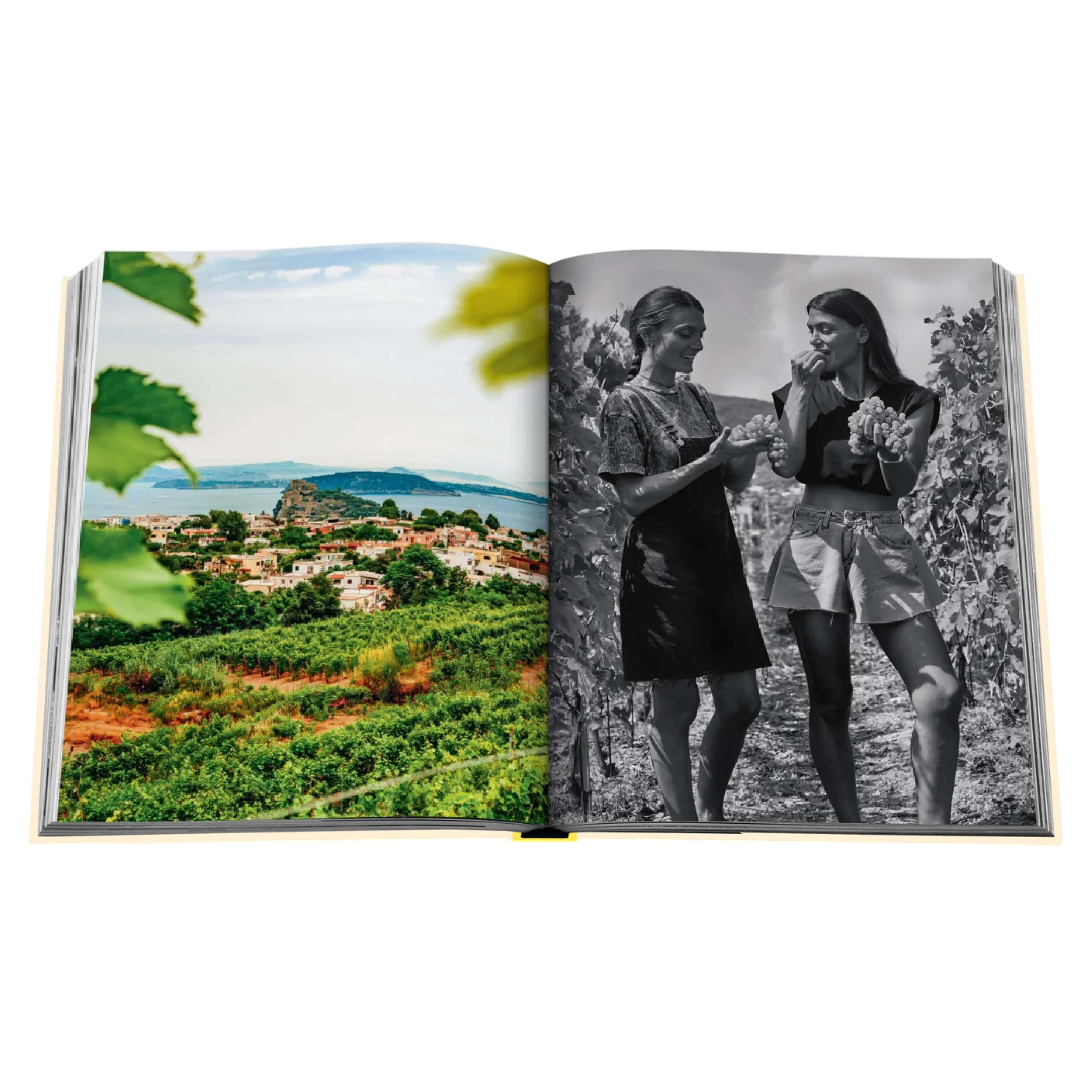 'Wine & Travel Mediterranean Islands' Book | Enrico Bernardo - Image 5