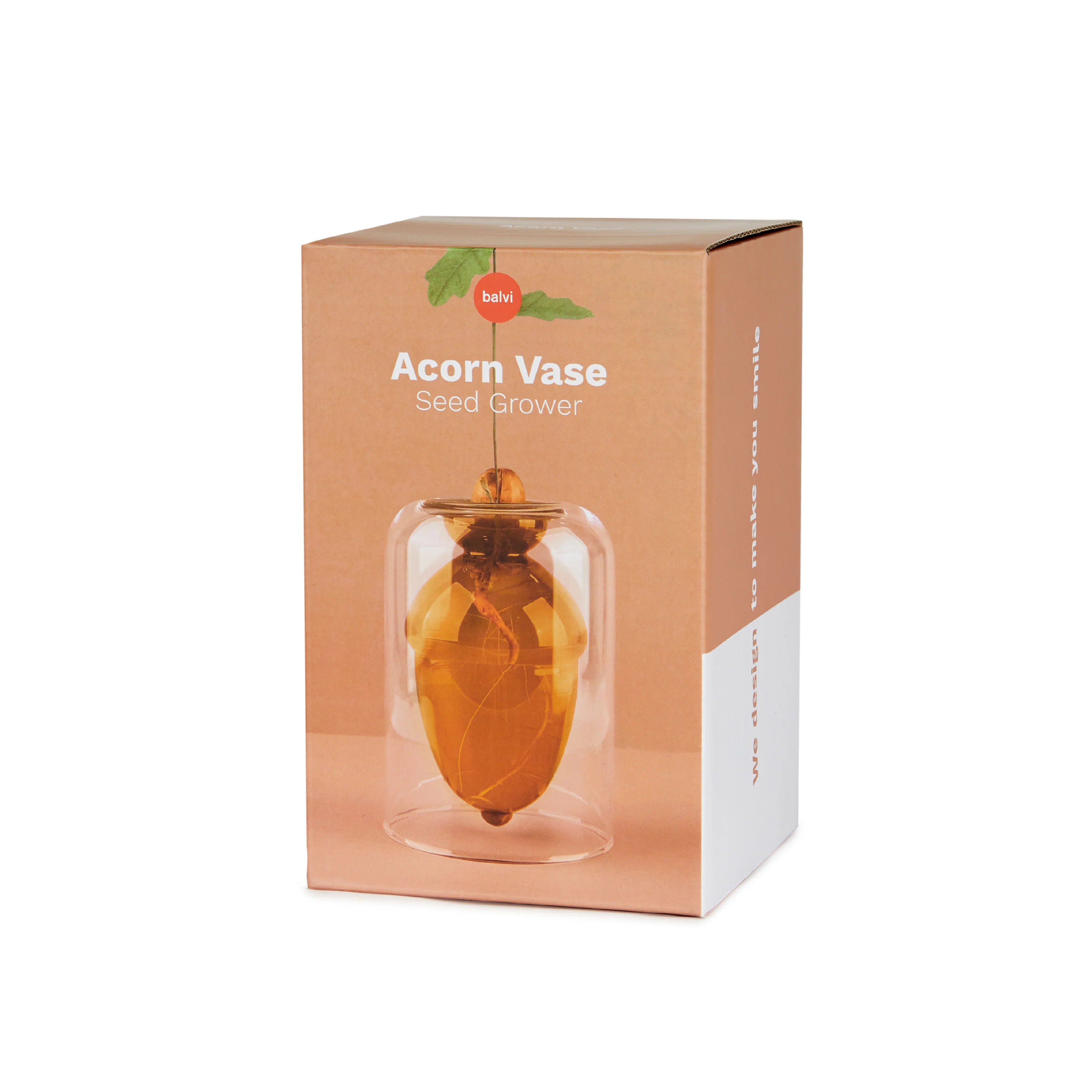 Acorn-Shaped Seed Grower - Image 5