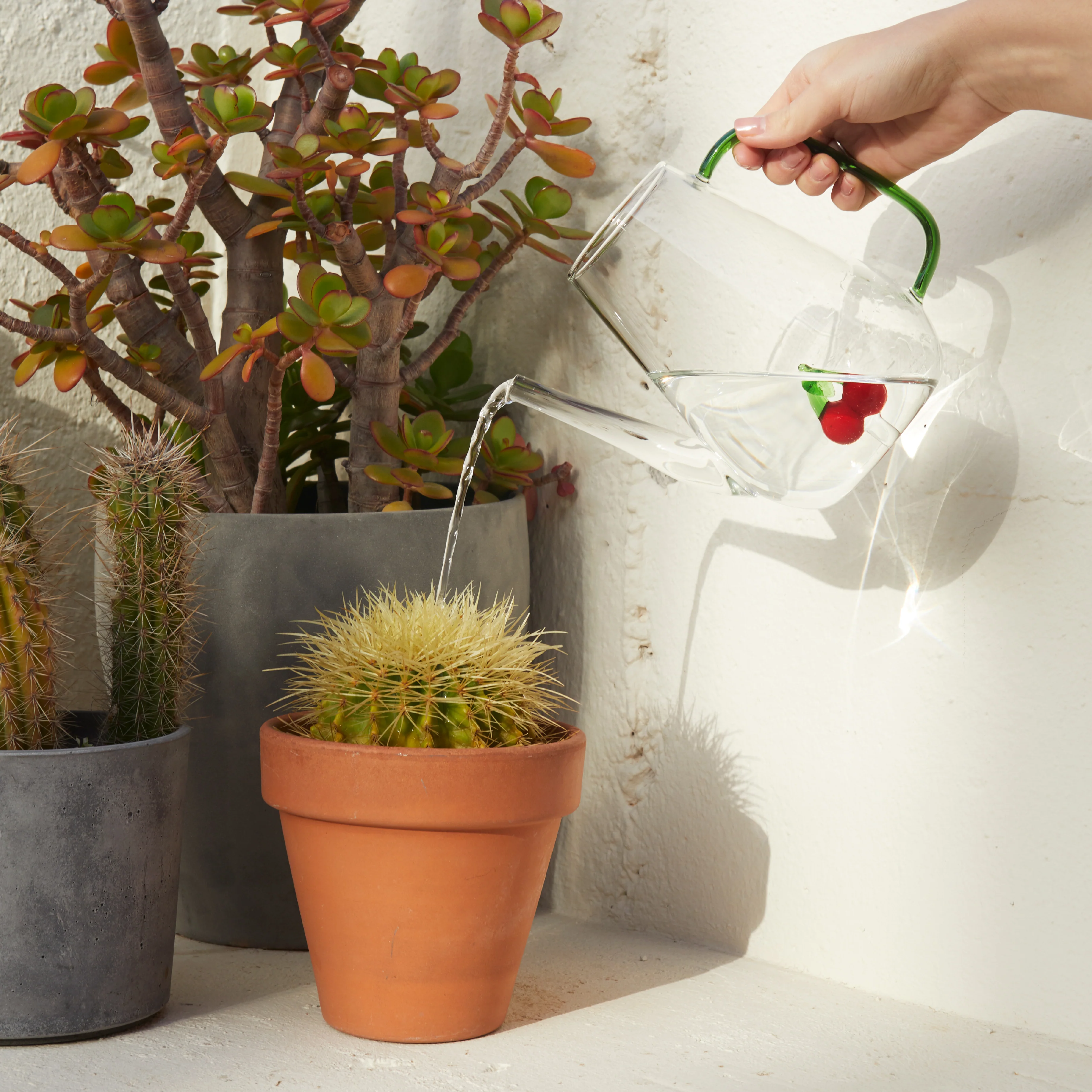 Botanical Cherry Glass Watering Can | 1L - Image 2