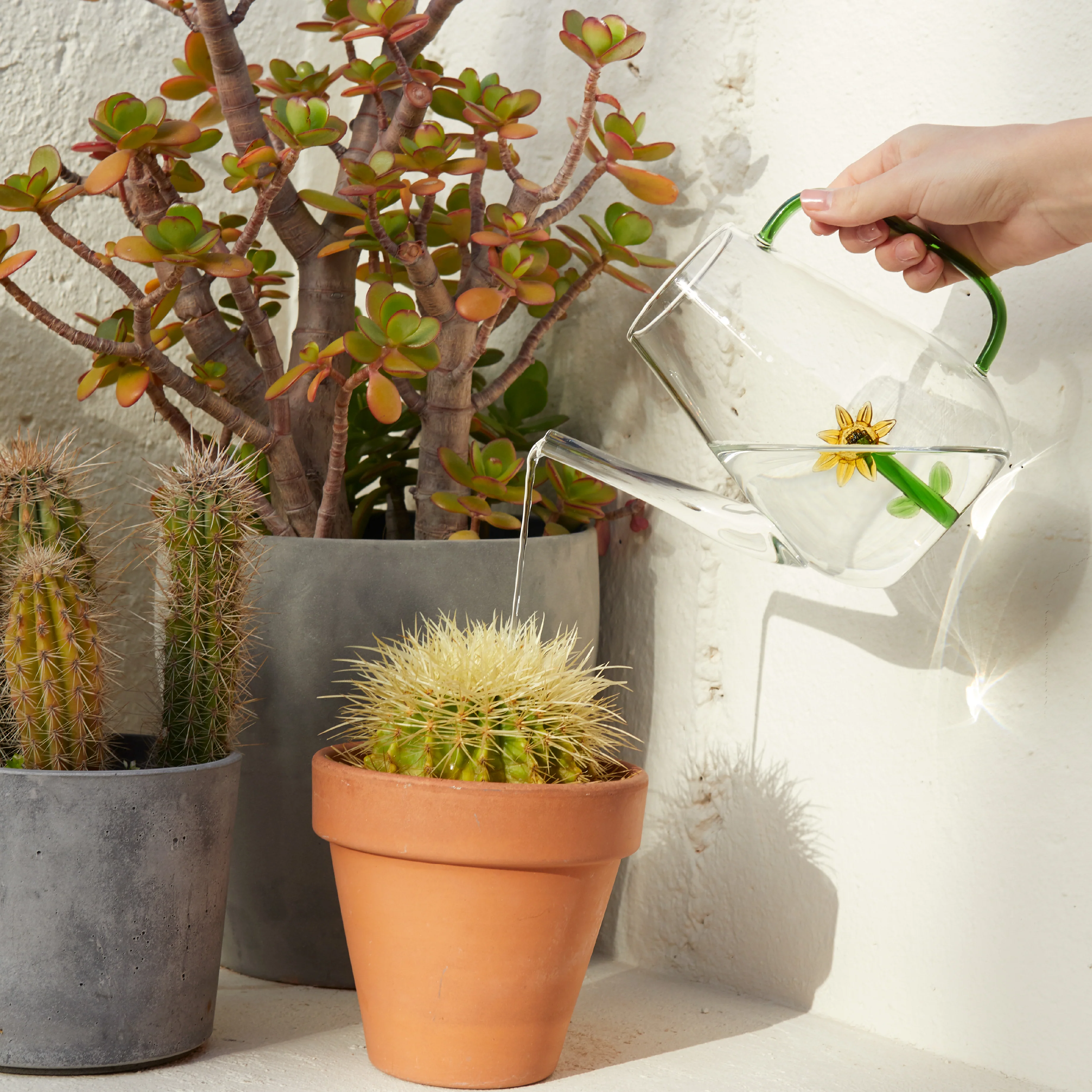 Botanical Sunflower Glass Watering Can | 1L - Image 2