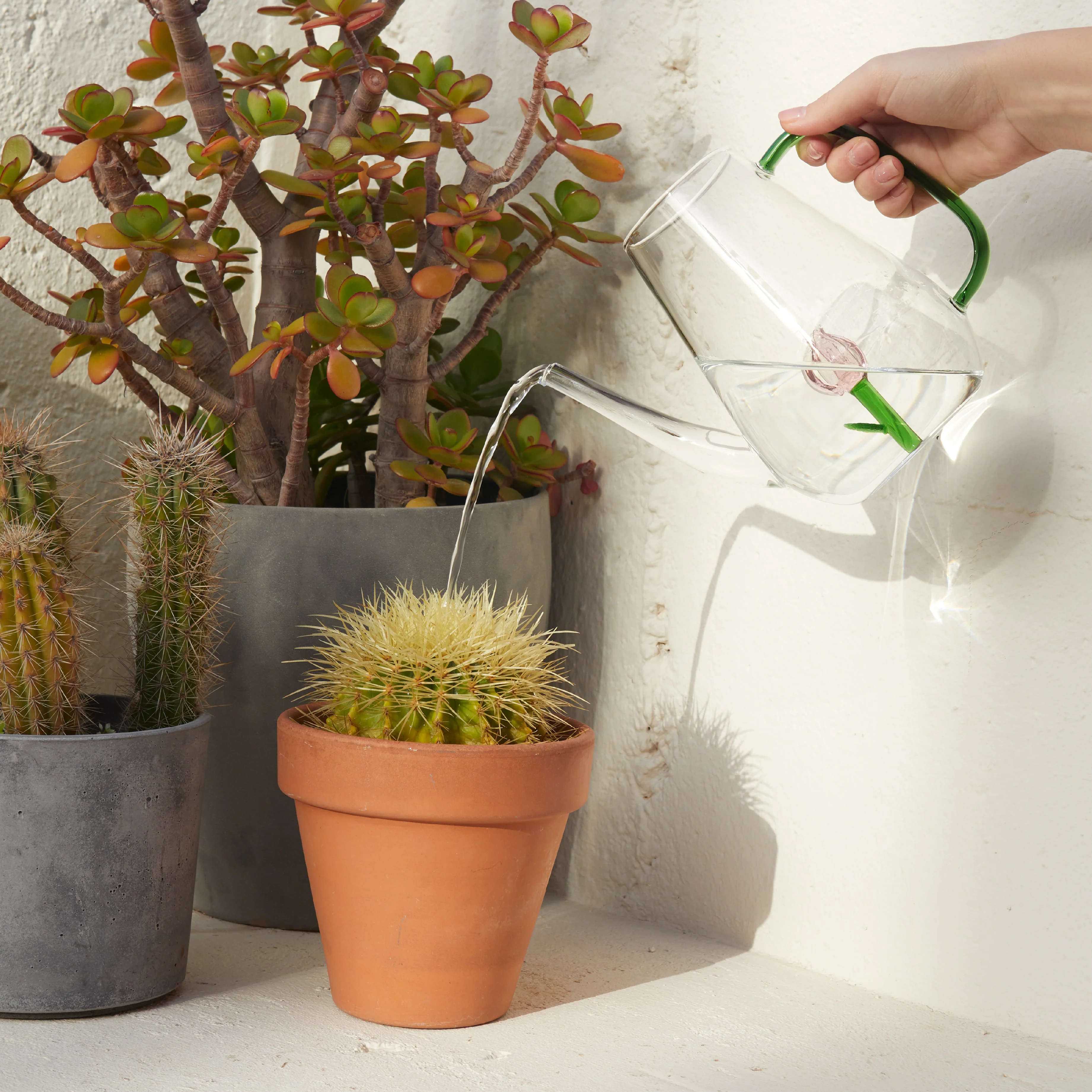 Botanical Tulip Glass Watering Can | 1L - Image 2