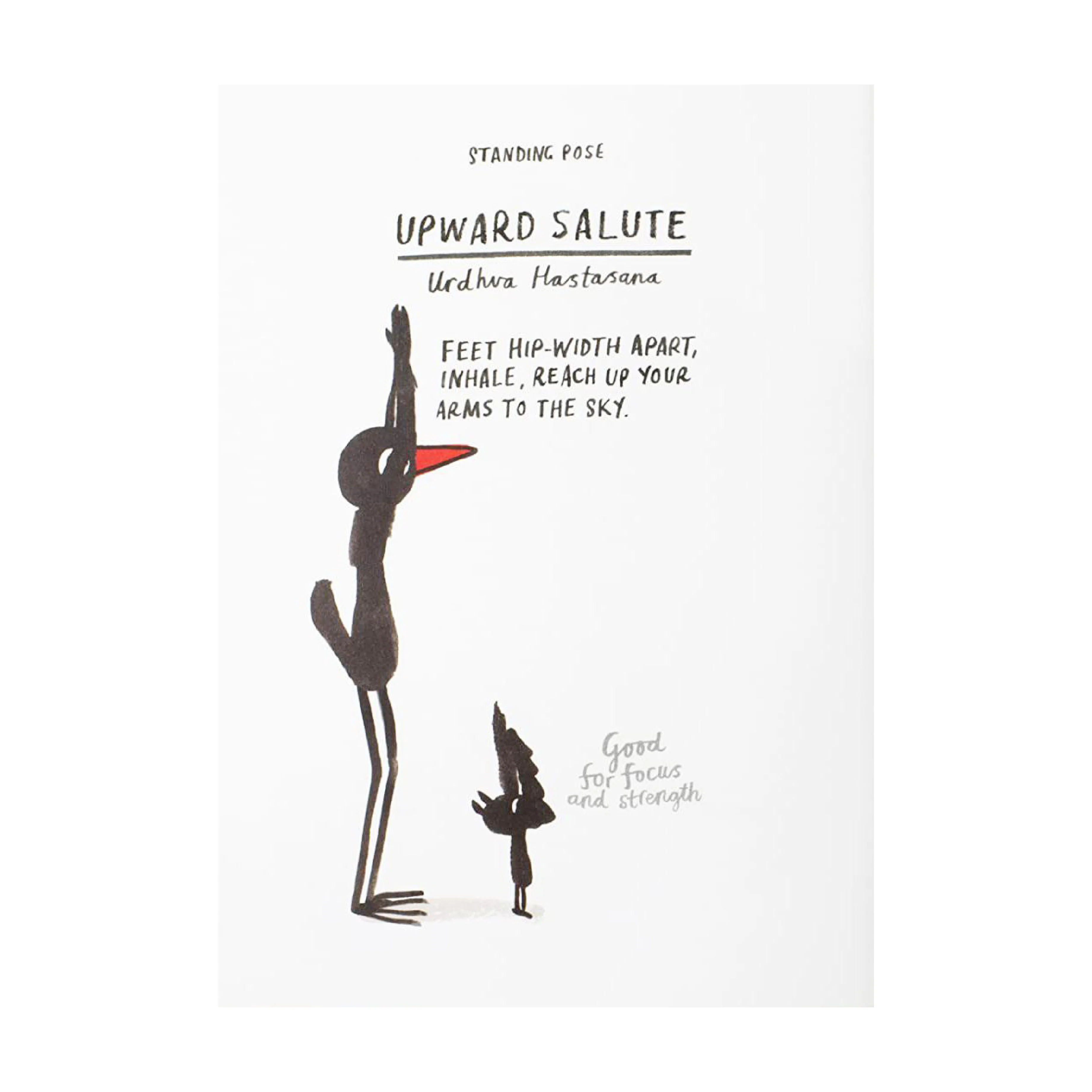 'Yoga for Stiff Birds' Book | Marion Deuchars - Image 3