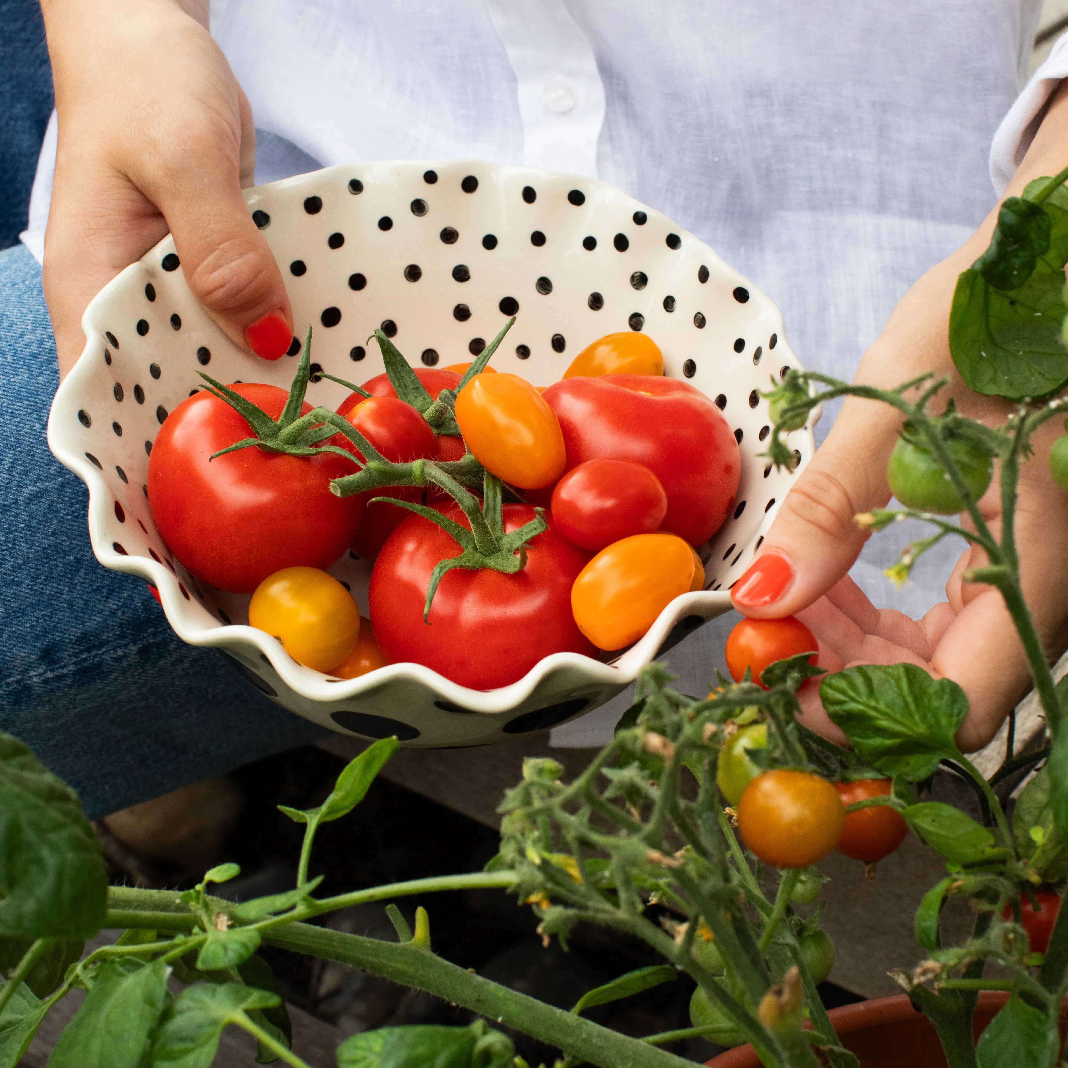 Scalloped Mono Spots Bowl | 20cm - Image 2
