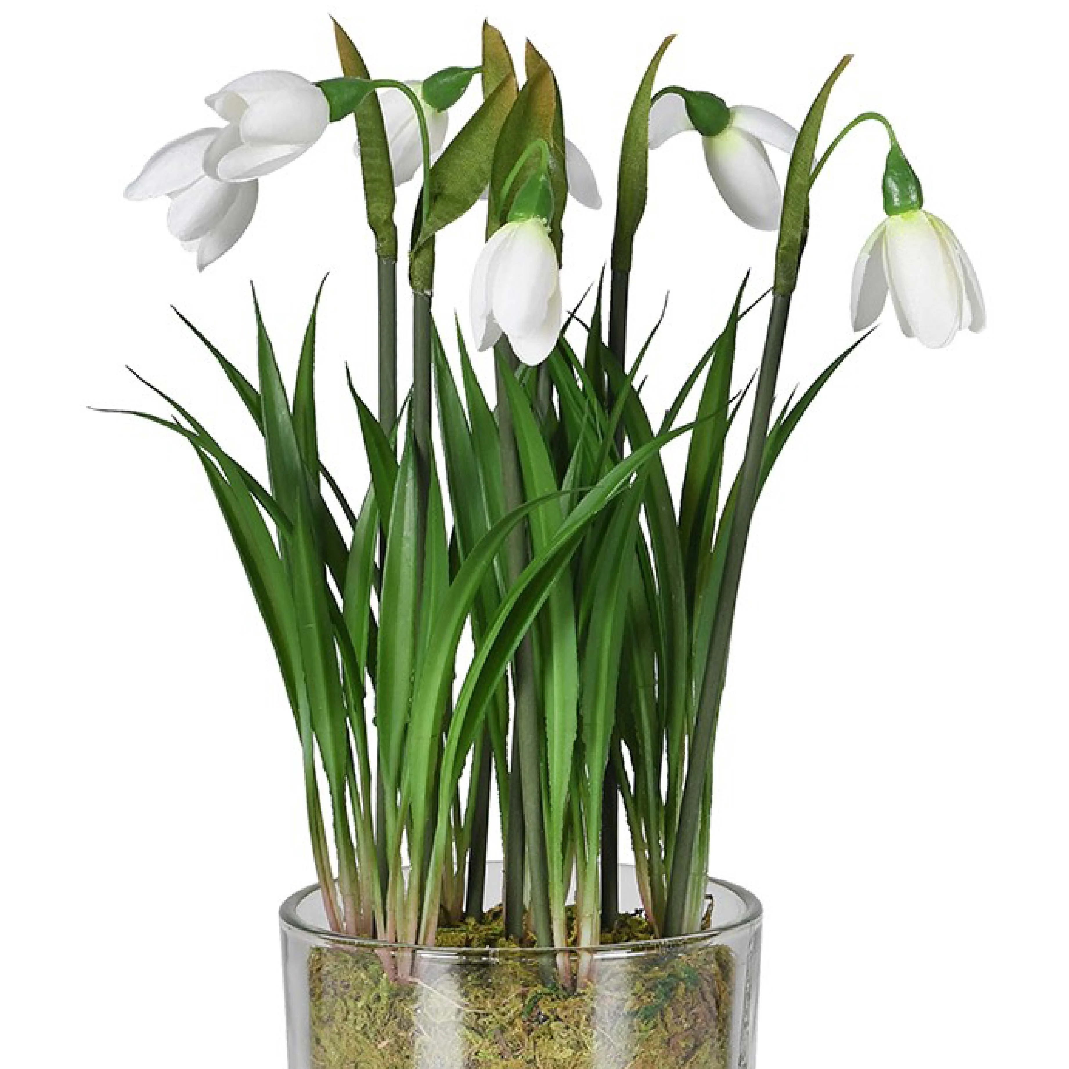 Faux Snowdrop Plant in Glass Pot | 26cm - Image 2