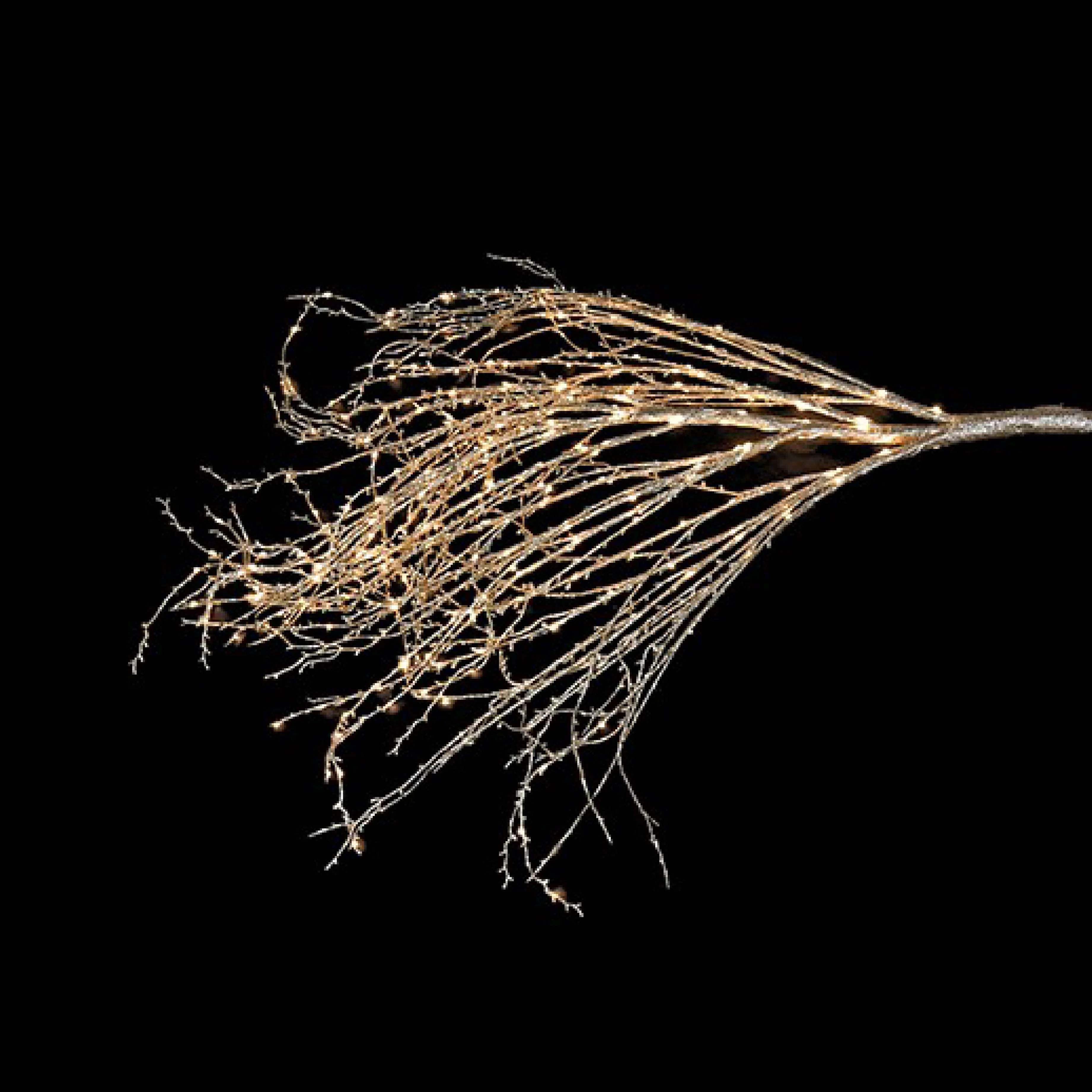 LED Winter Branch | Champagne | 260cm - Image 2