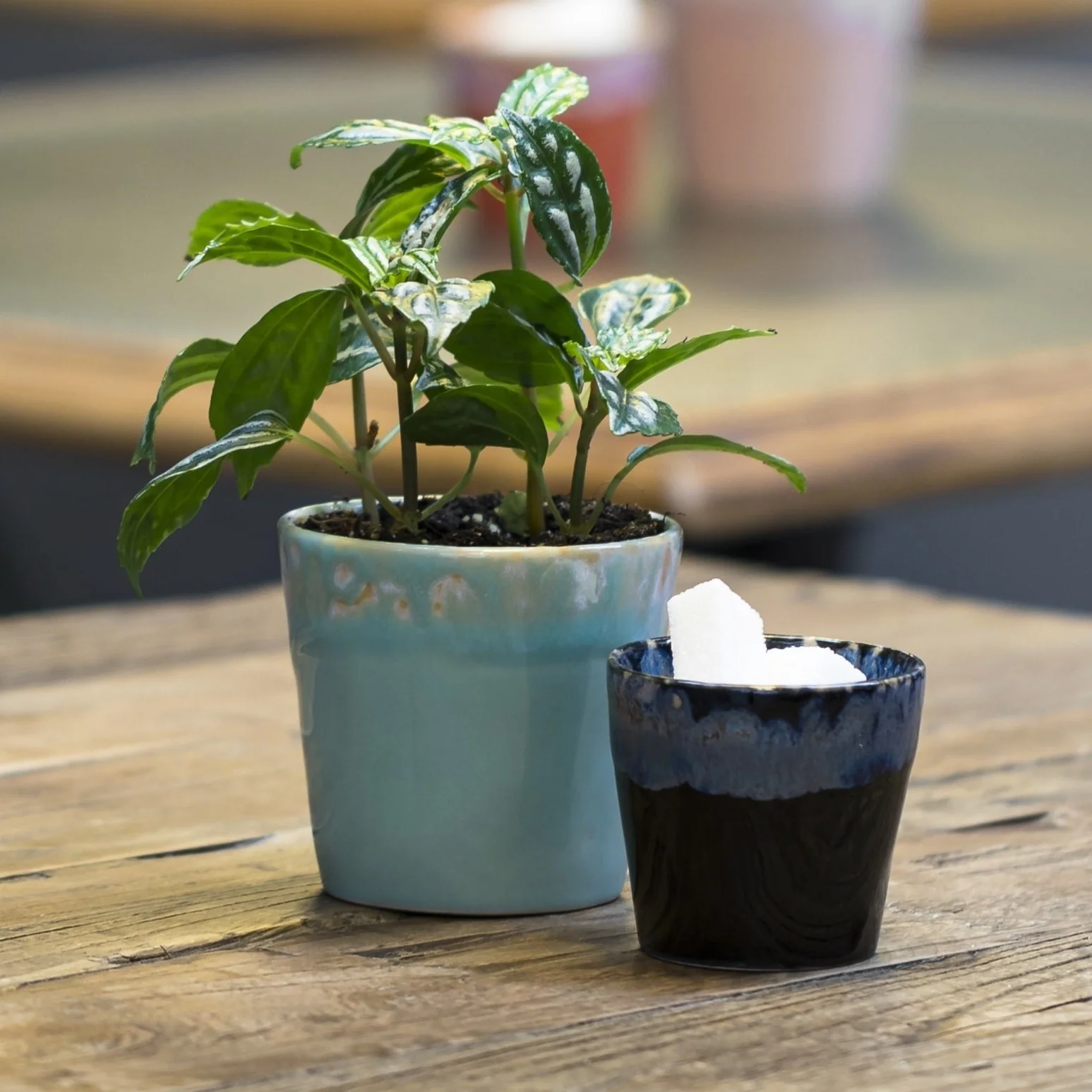 Denim Lungo Cup | Grespresso | 0.21L - Image 2