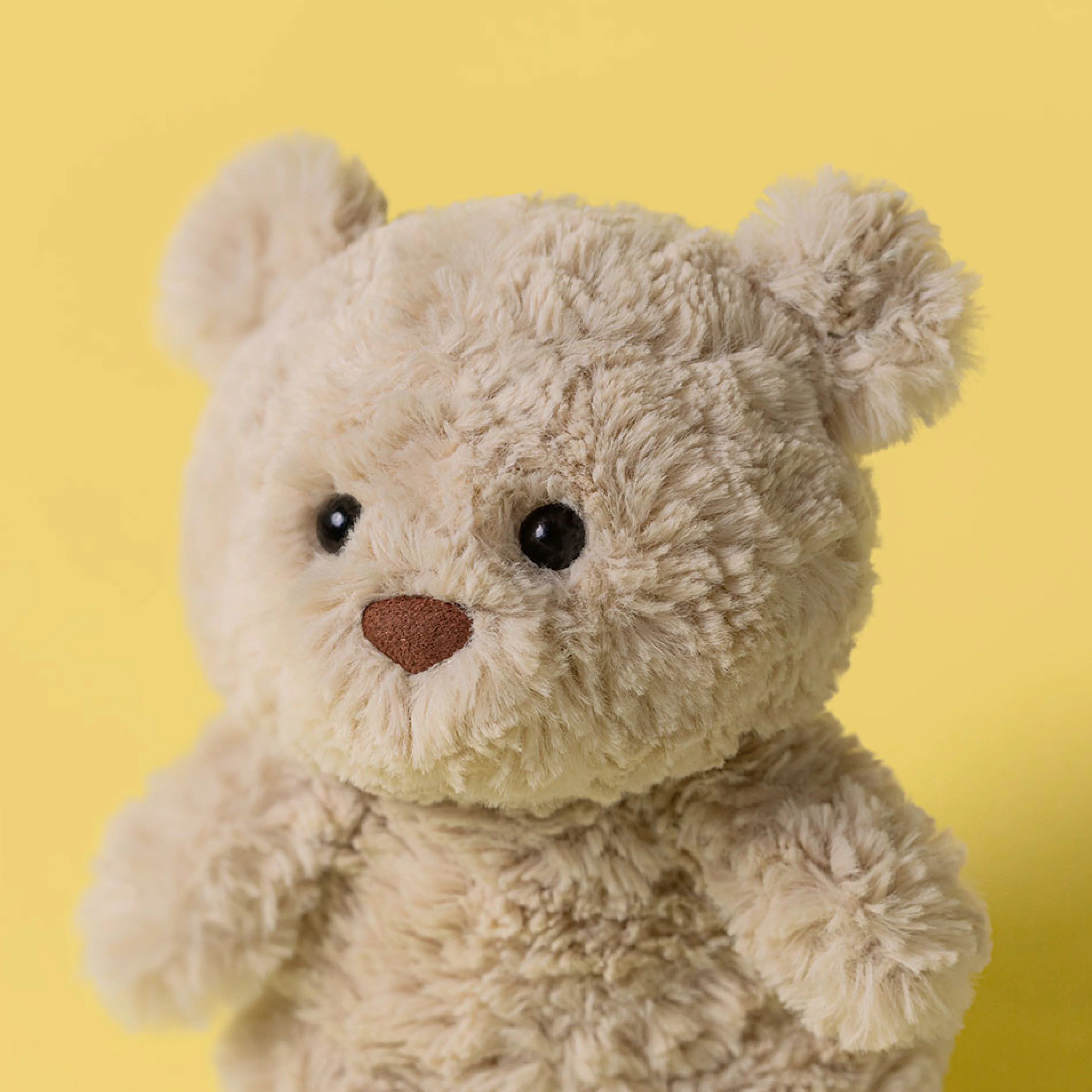 Bartholomew Bear Junior - Image 2