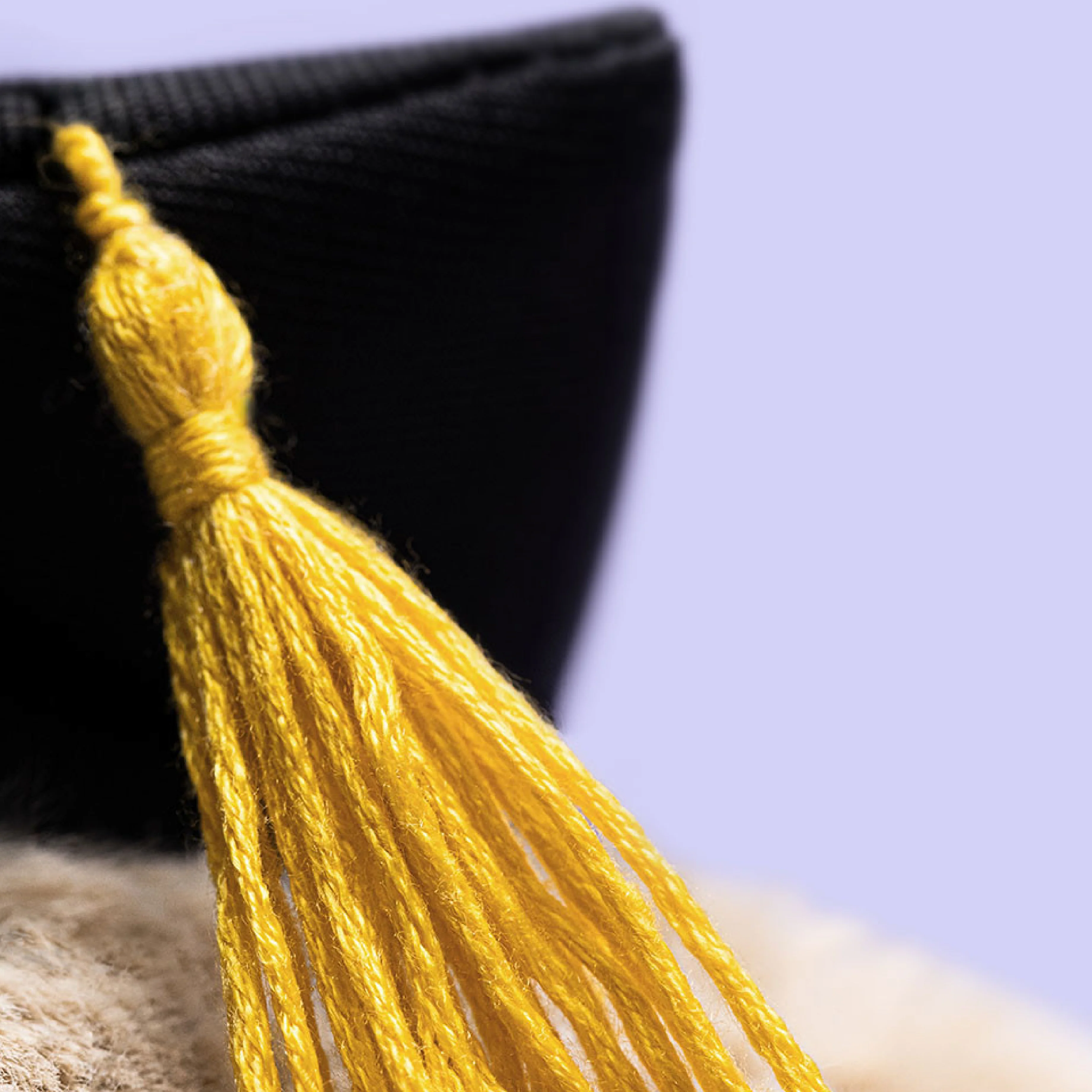 Bashful Bunny Graduation Outfit - Image 2