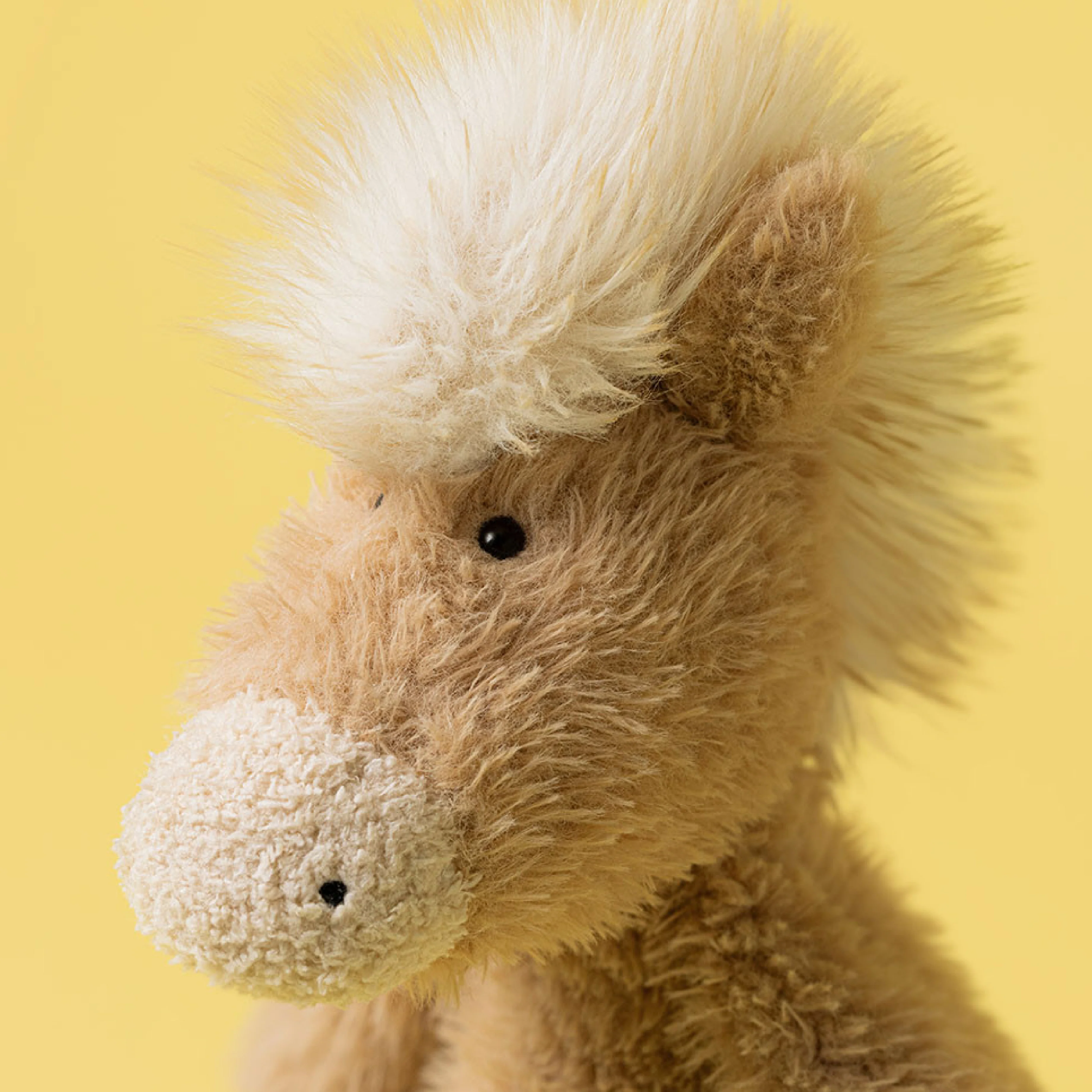Canterneigh Pony - Image 2