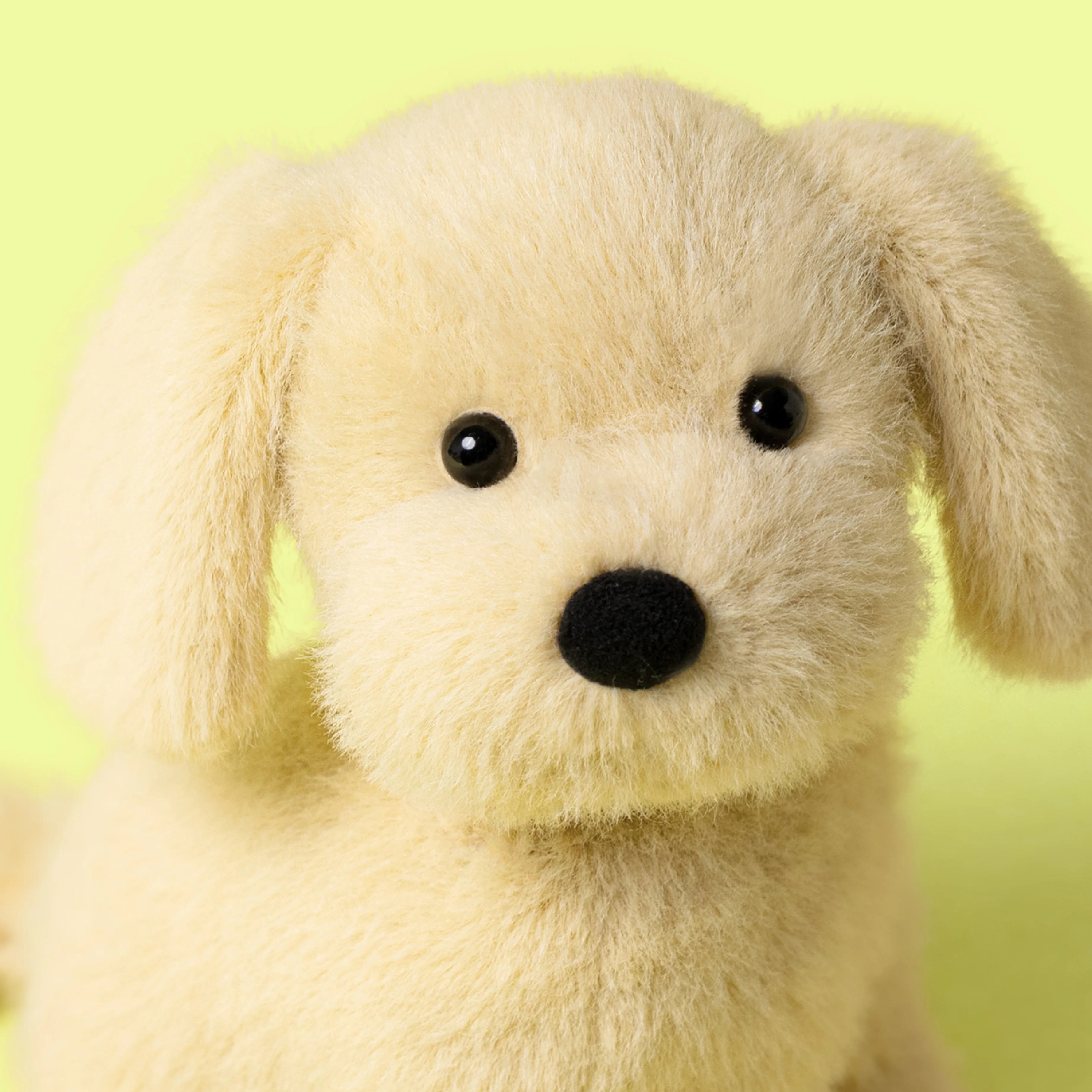 Golden Puppy - Image 2