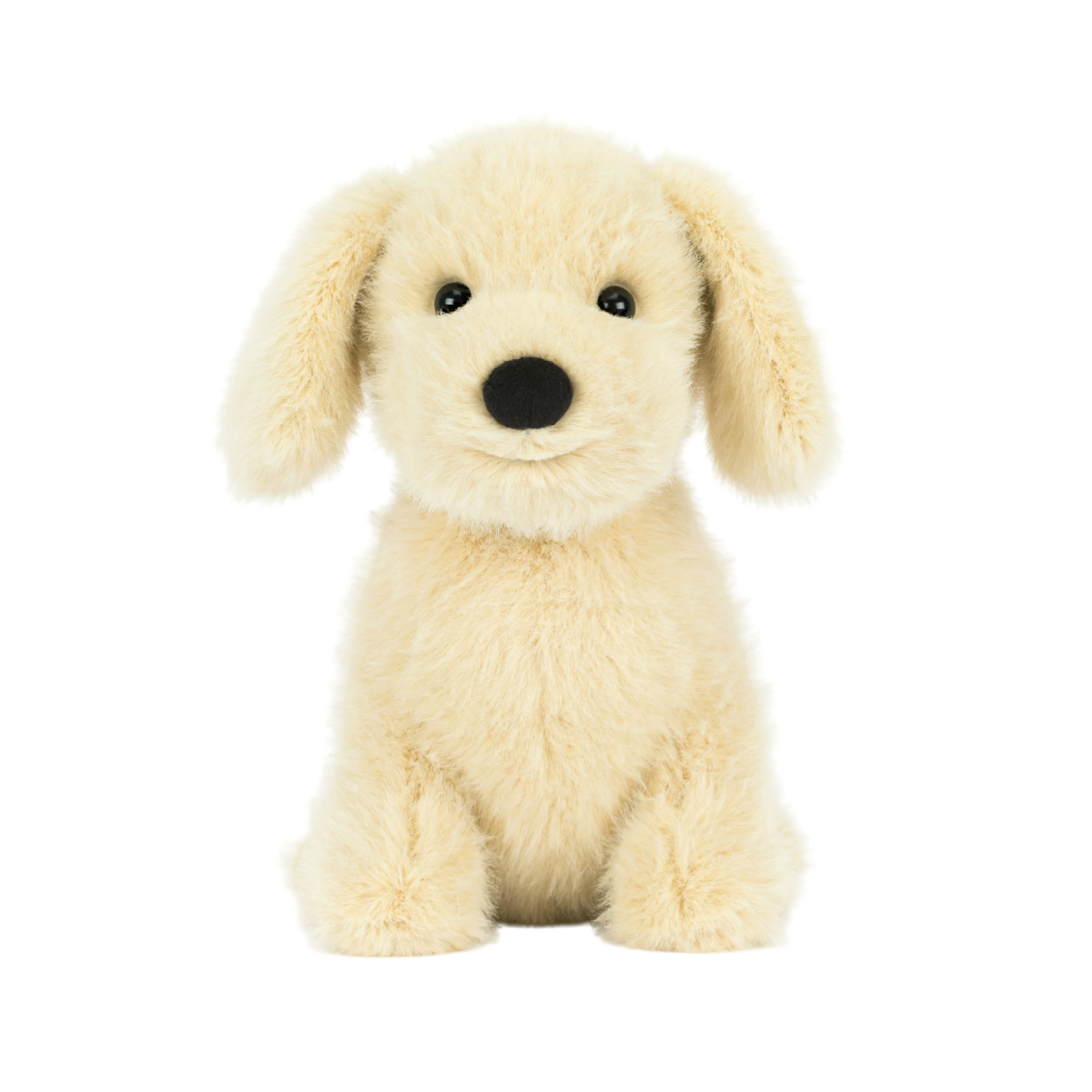 Golden Puppy - Image 5