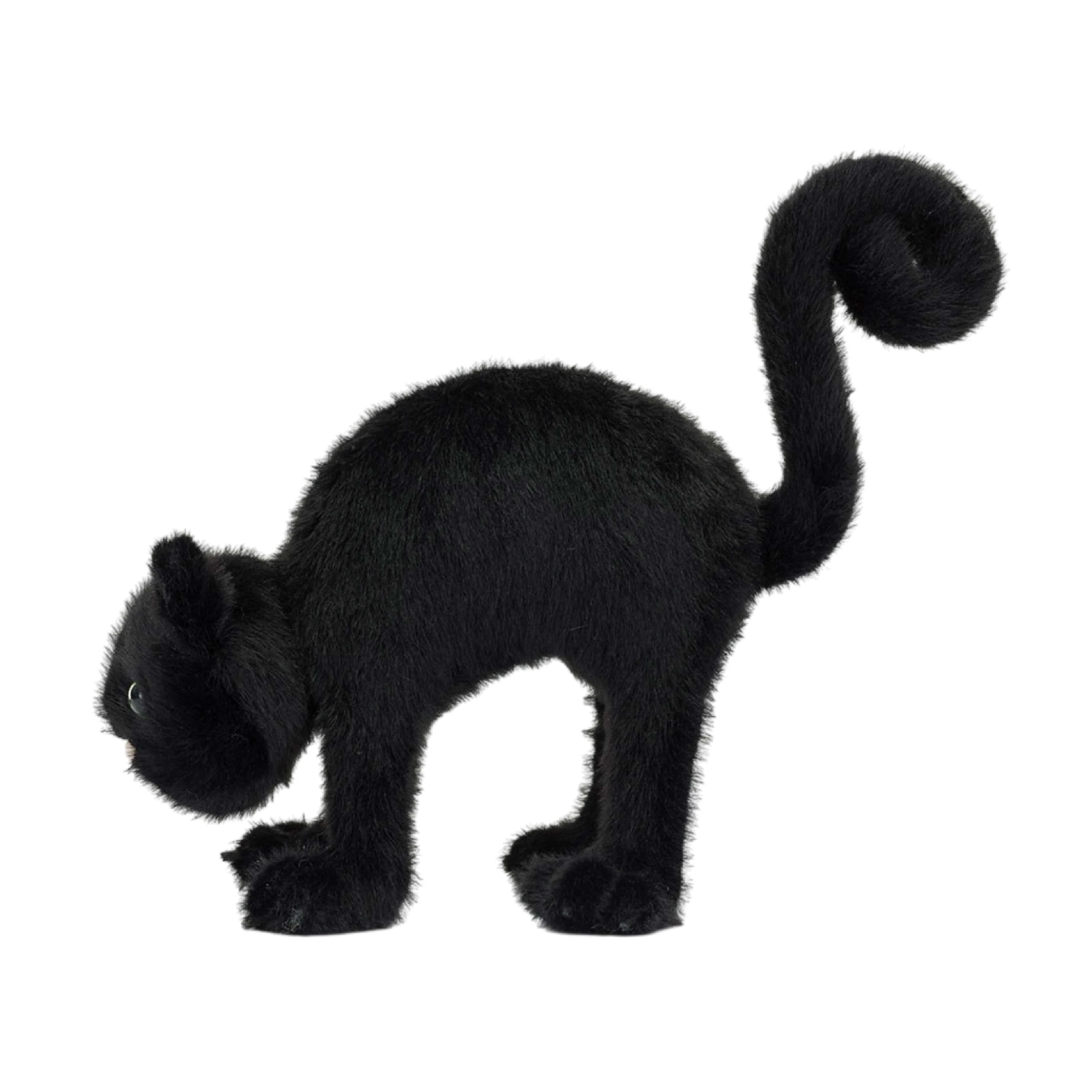 Spookipaws Cat - Image 3