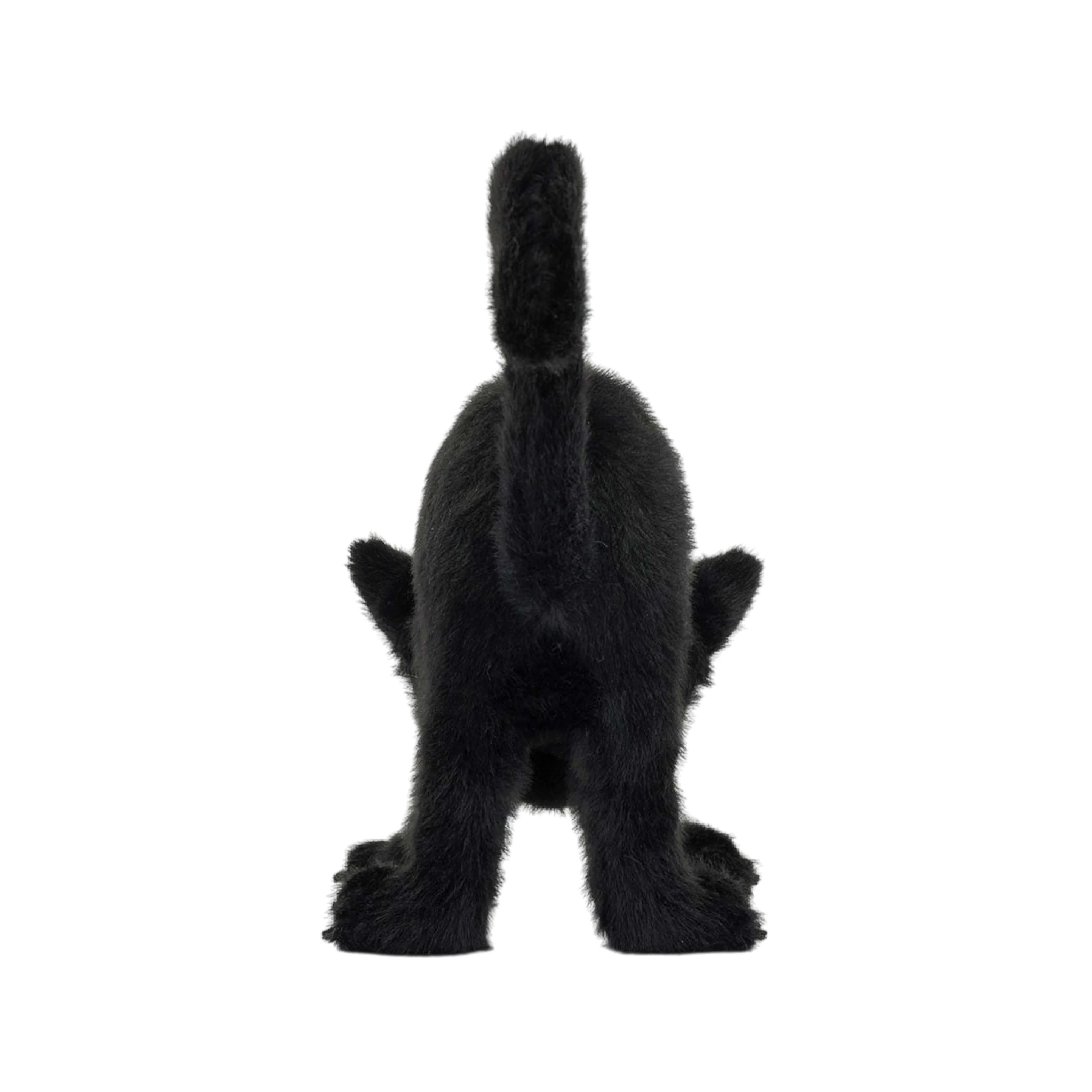 Spookipaws Cat - Image 4