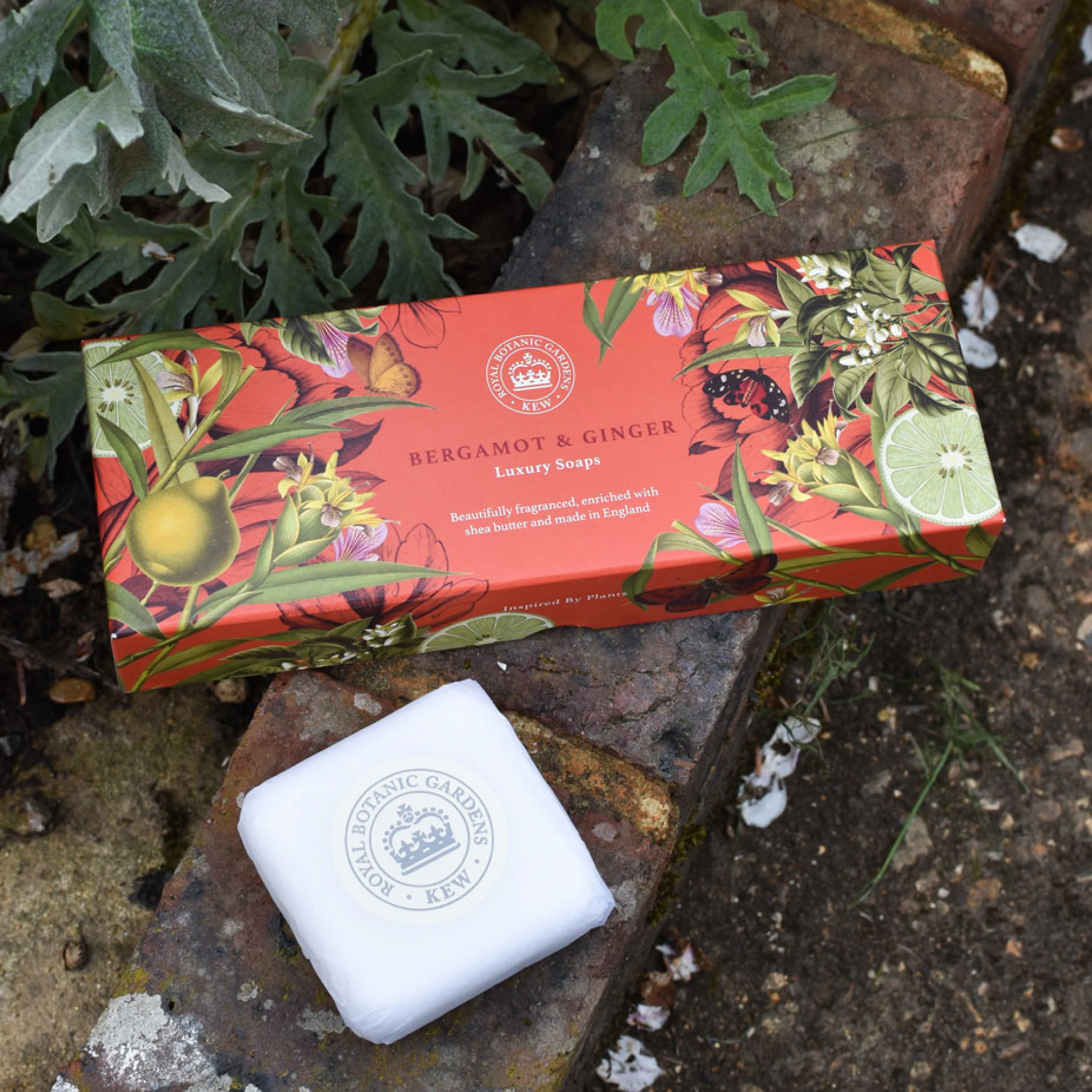 Begamot & Ginger Triple Soap Gift Box - Image 4