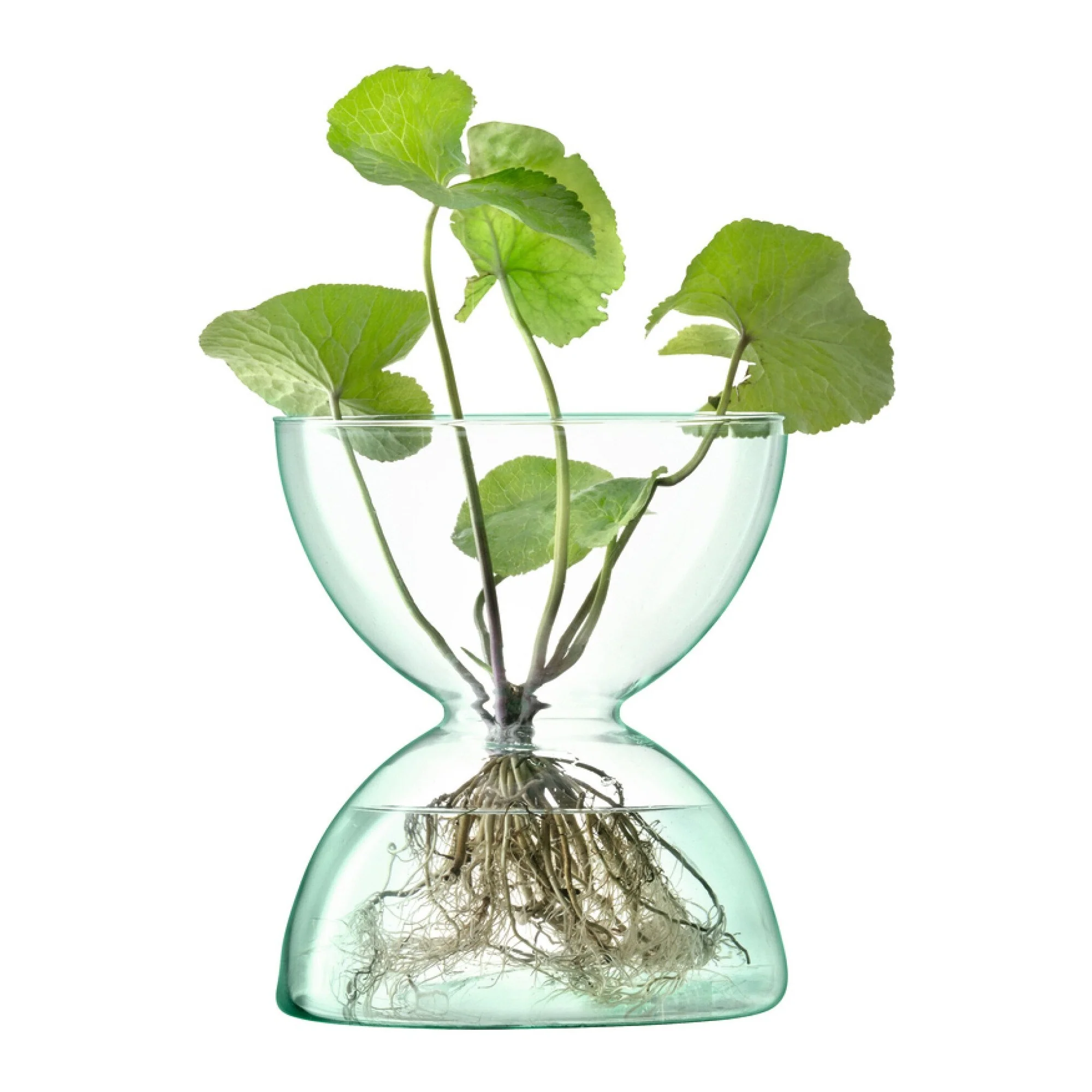Canopy Vase | 24cm - Image 2