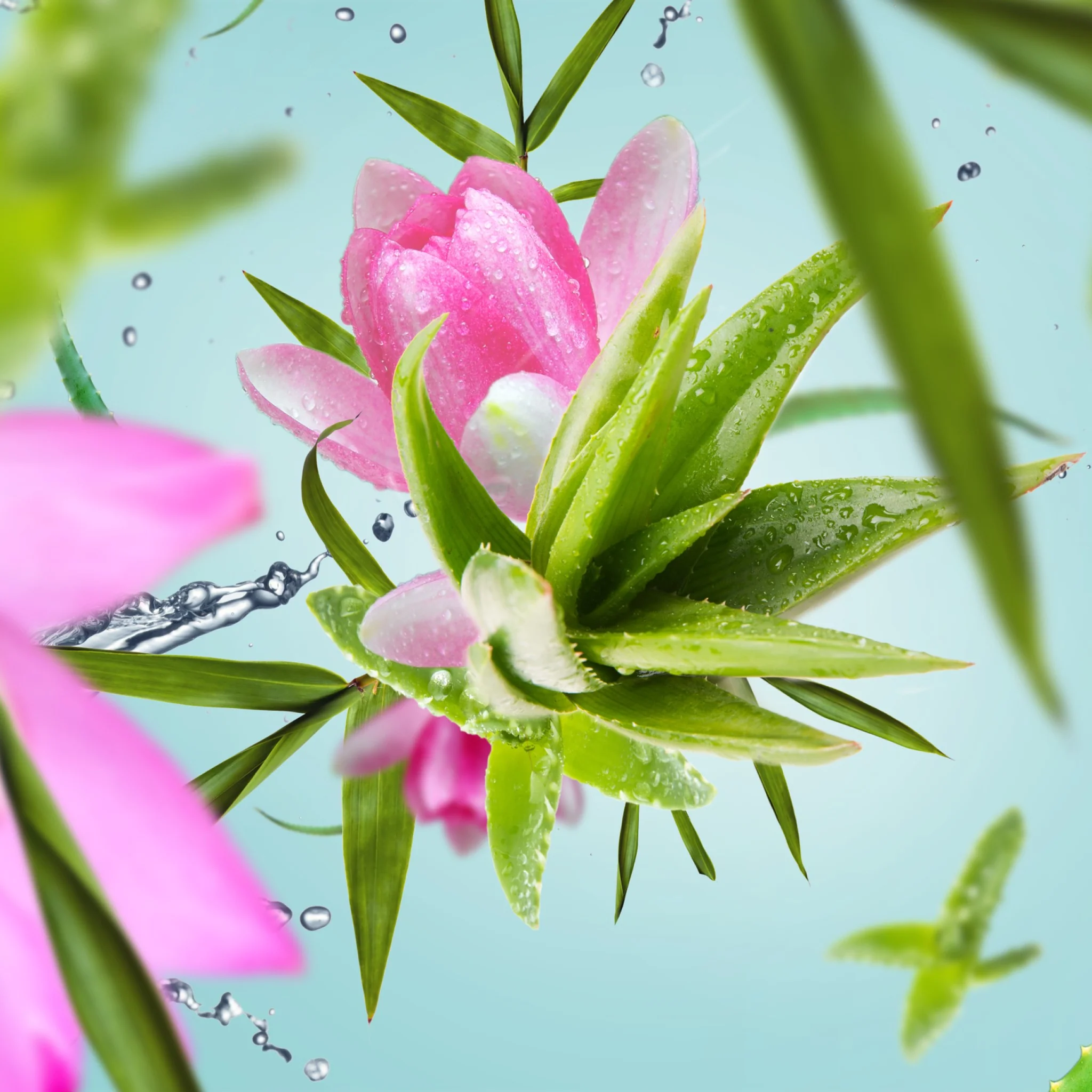 Fragrance Lamp Refill | Aloe Vera Water | 500ml - Image 2