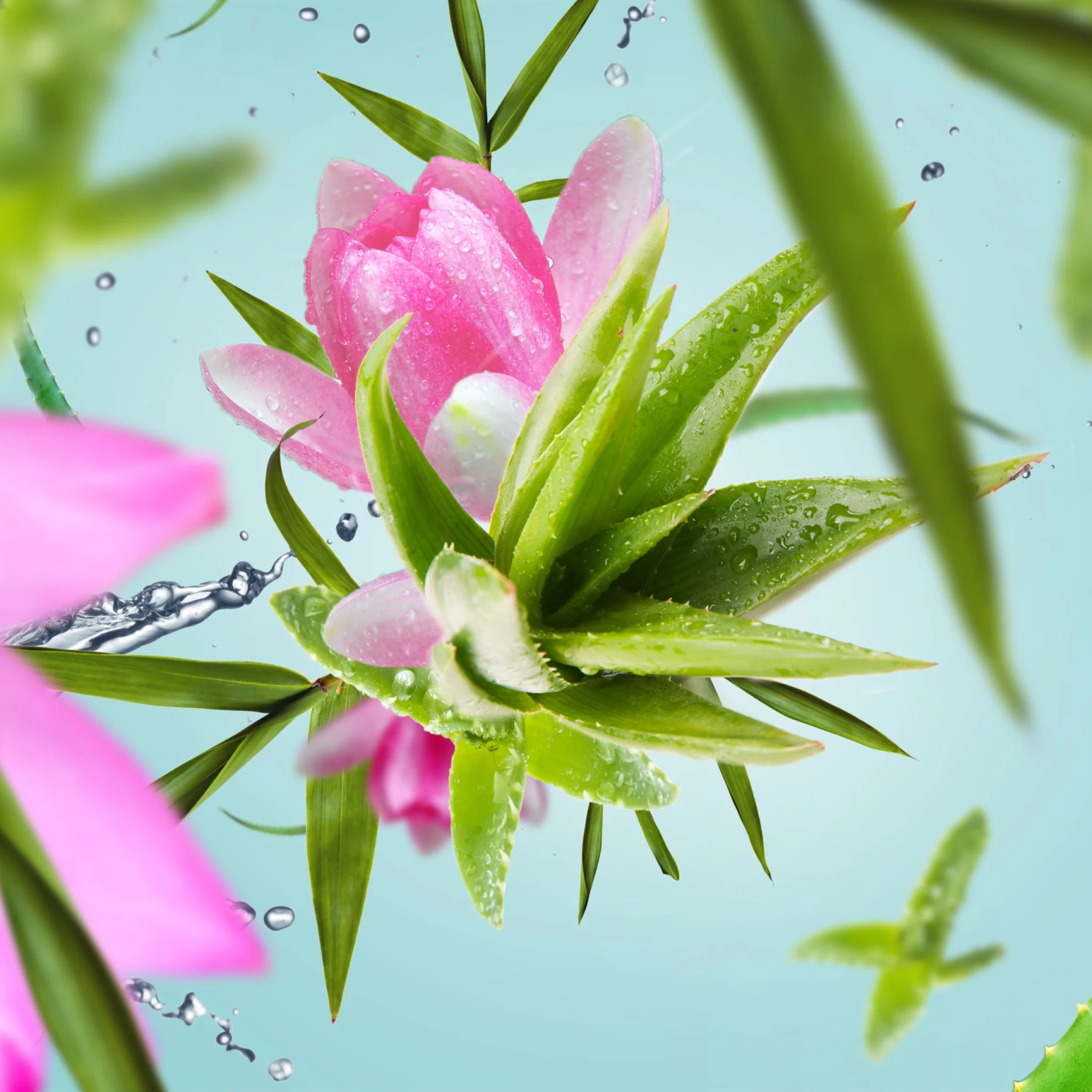 Fragrance Lamp Refill | Aloe Vera Water | 1L - Image 2