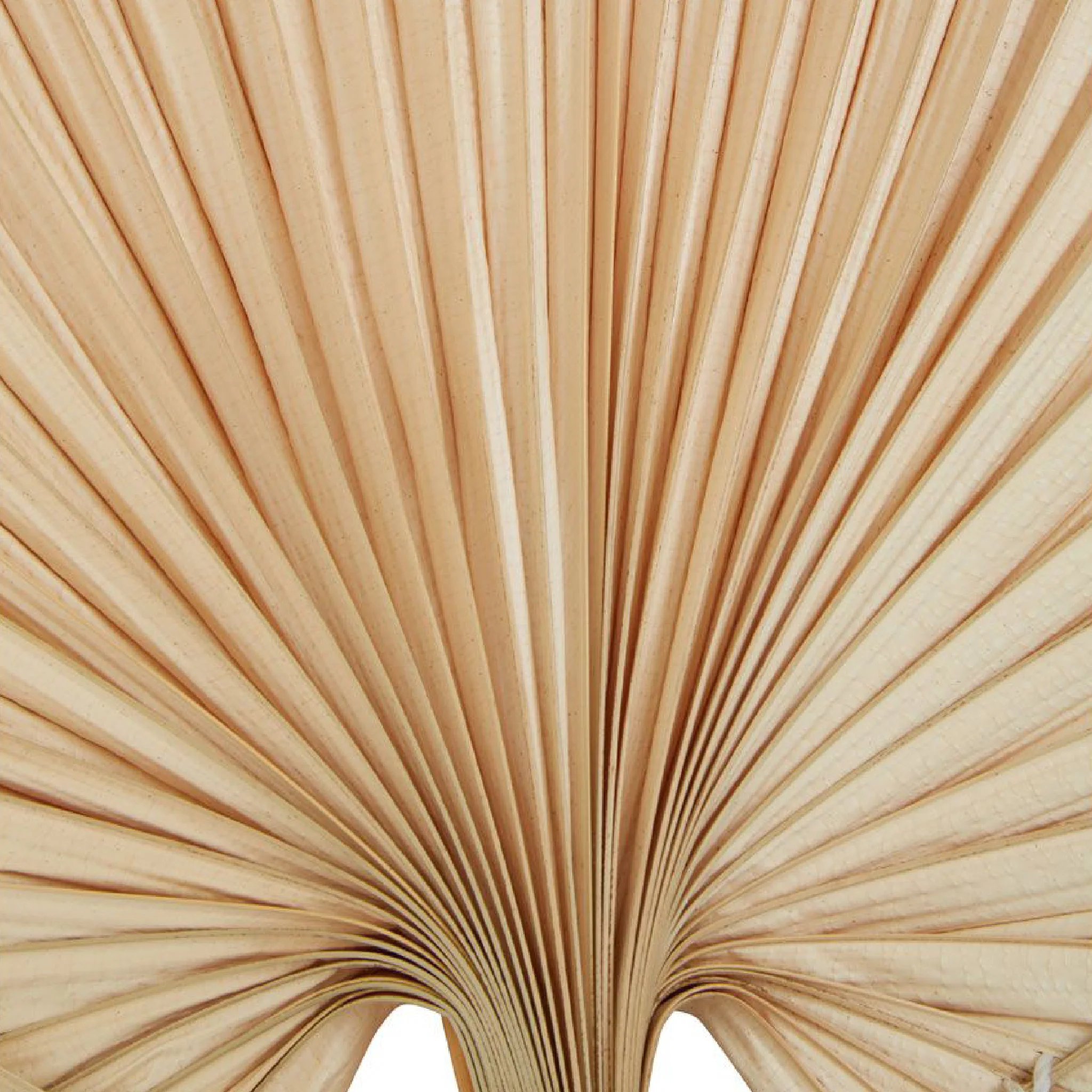 Balta Oval Palm Leaf Fan | Natural | Small - Image 3