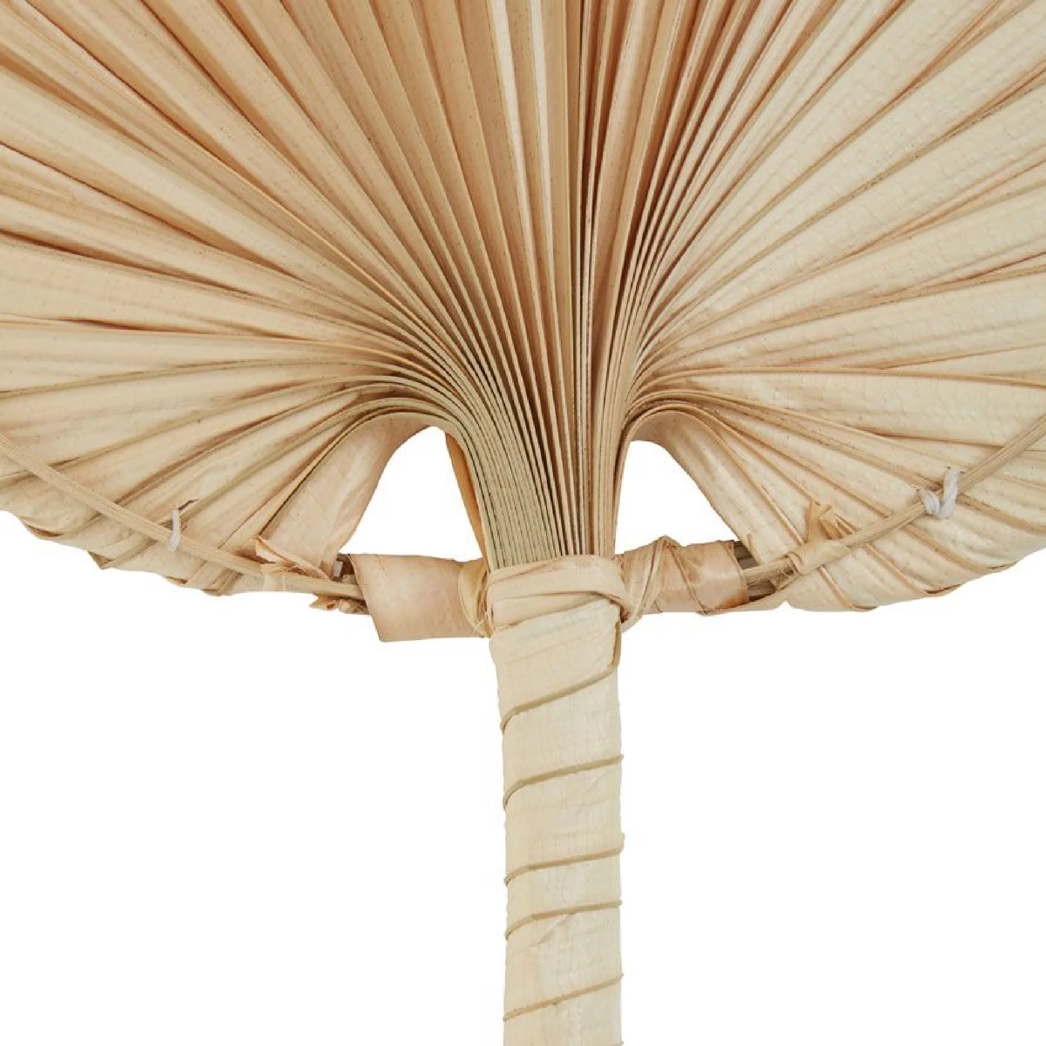 Balta Oval Palm Leaf Fan | Natural | Small - Image 4