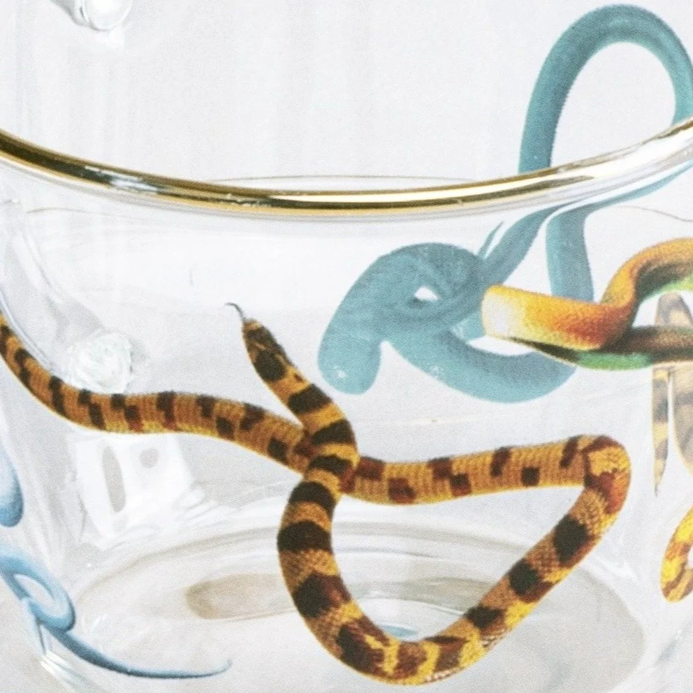 Glass Cup & Saucer | Toiletpaper | Snakes - Image 2