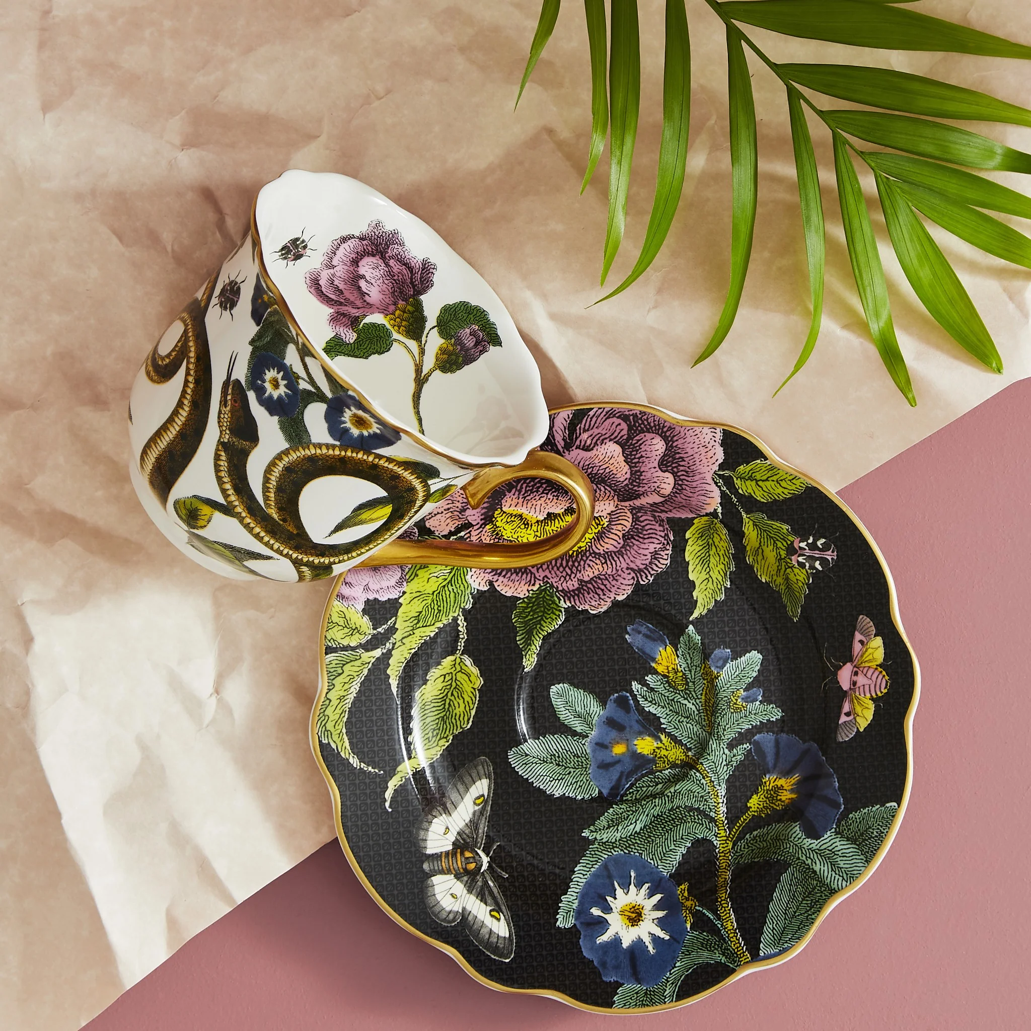 Teacup & Saucer | Creatures of Curiosity | Snake Black - Image 2