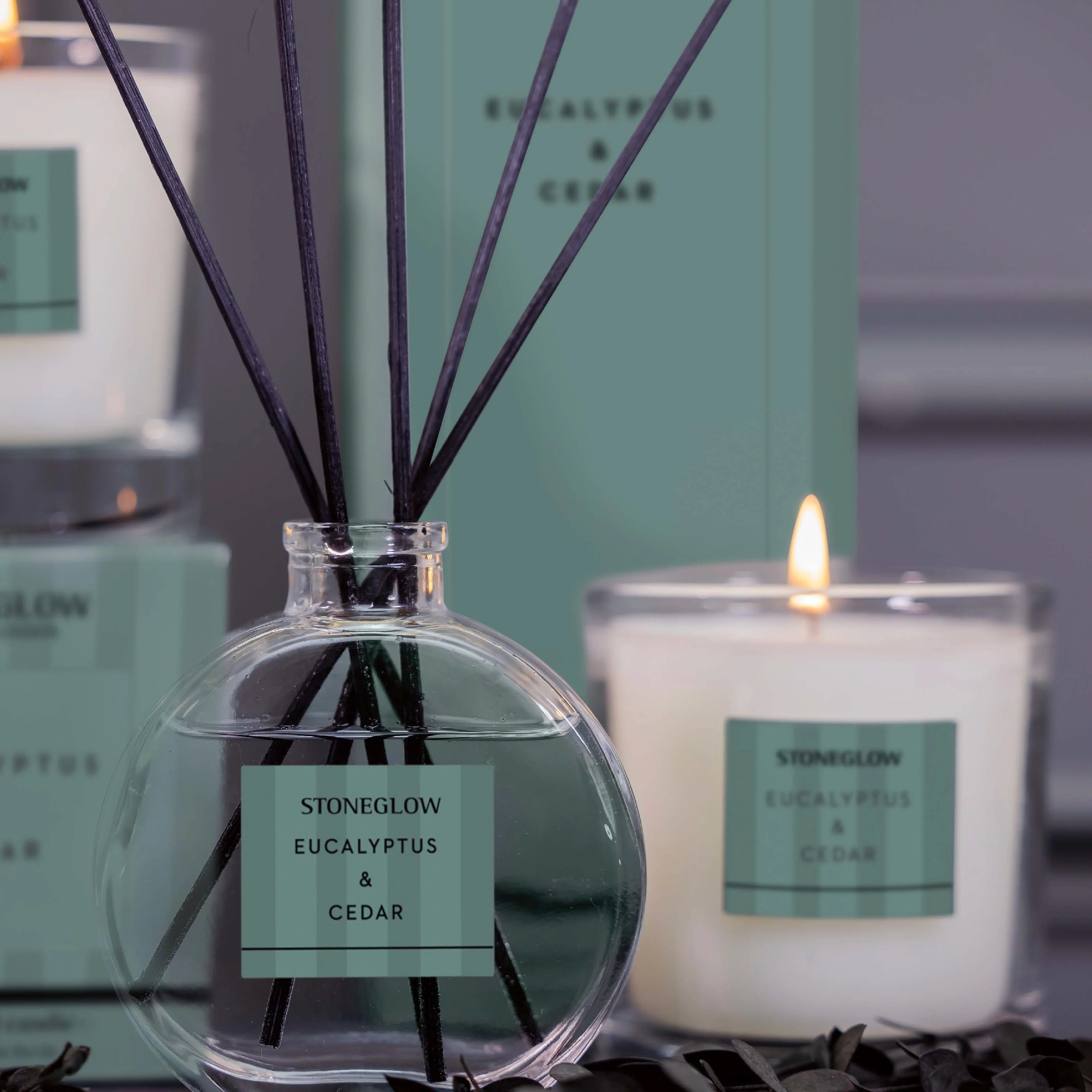 Modern Classics Scented Tumbler Candle | Eucalyptus & Cedar - Image 3