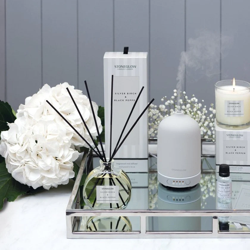 Reed Diffuser | Modern Classics | Silver Birch & Black Pepper | 120ml - Image 2