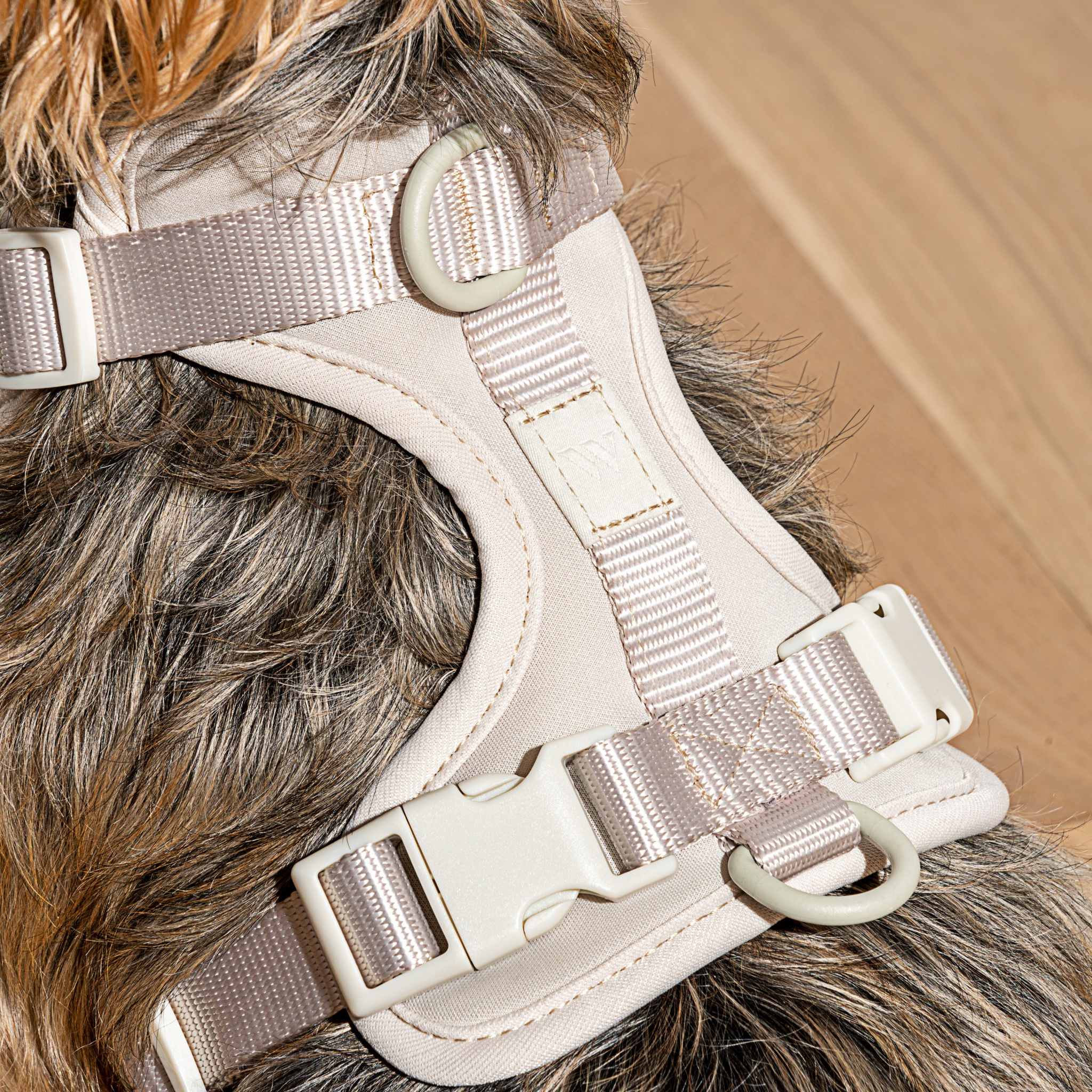 Cushioned Dog Harness | Grey - Image 2