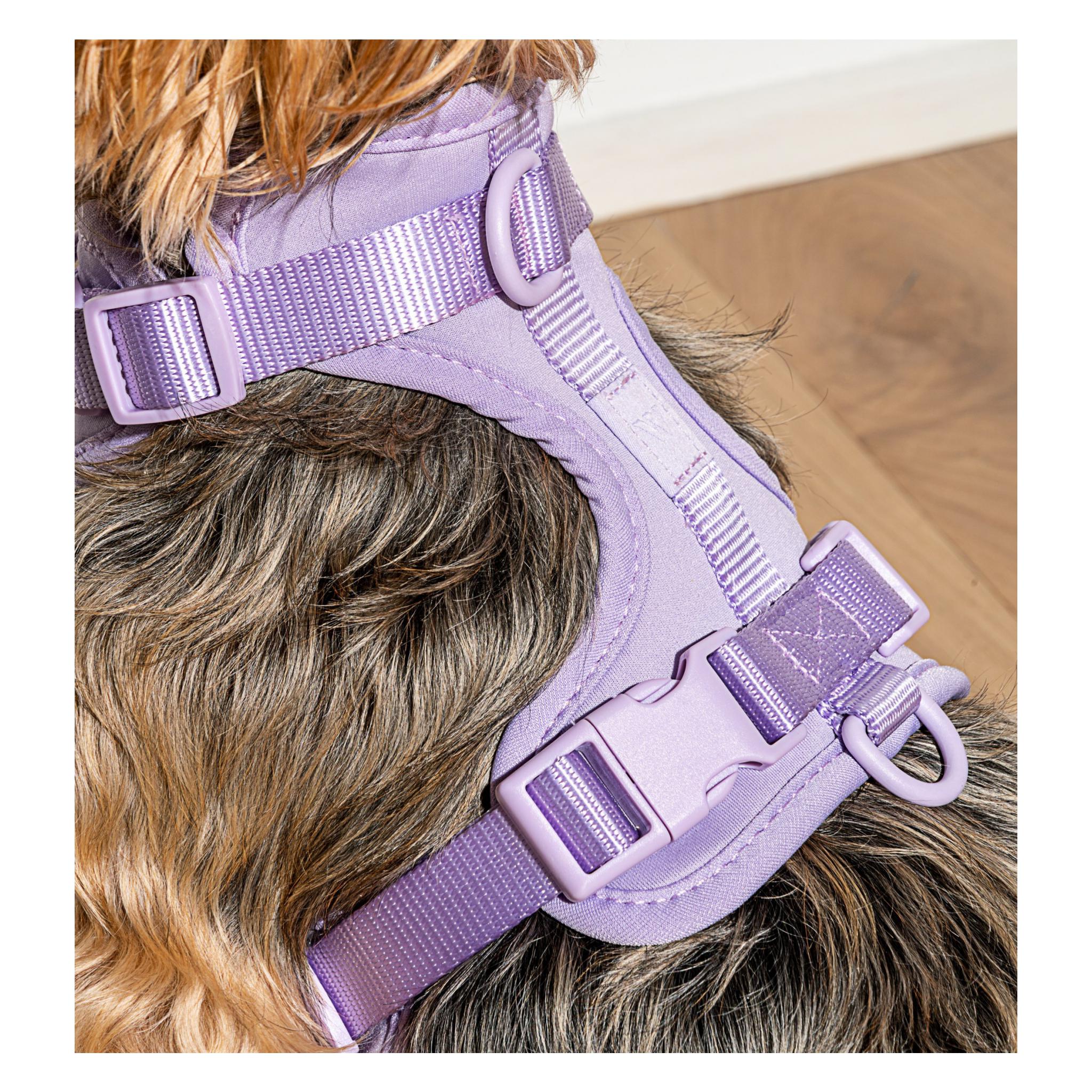 Cushioned Dog Harness | Lilac - Image 4