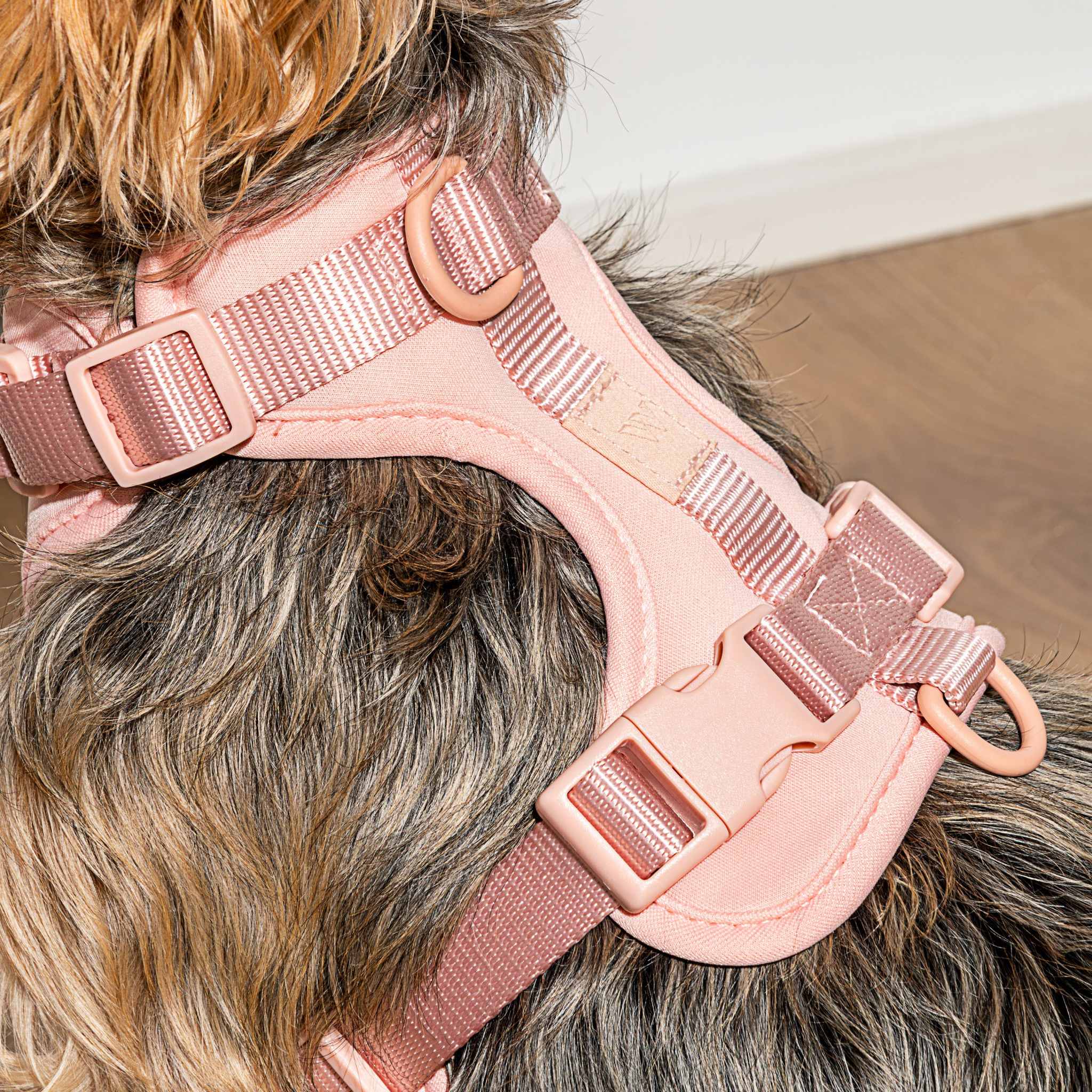 Cushioned Dog Harness | Pink - Image 3