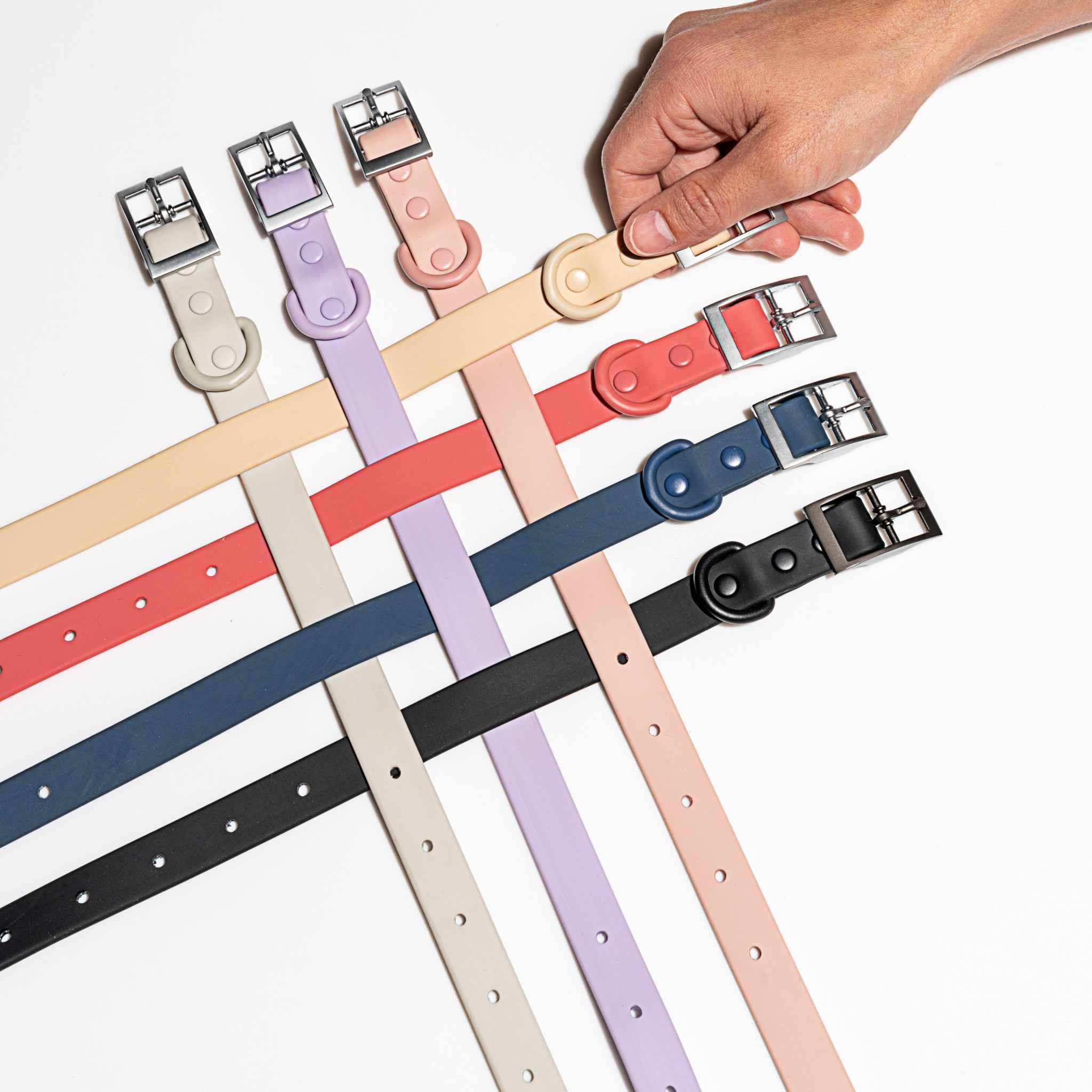 Dog Collar | Lilac - Image 3